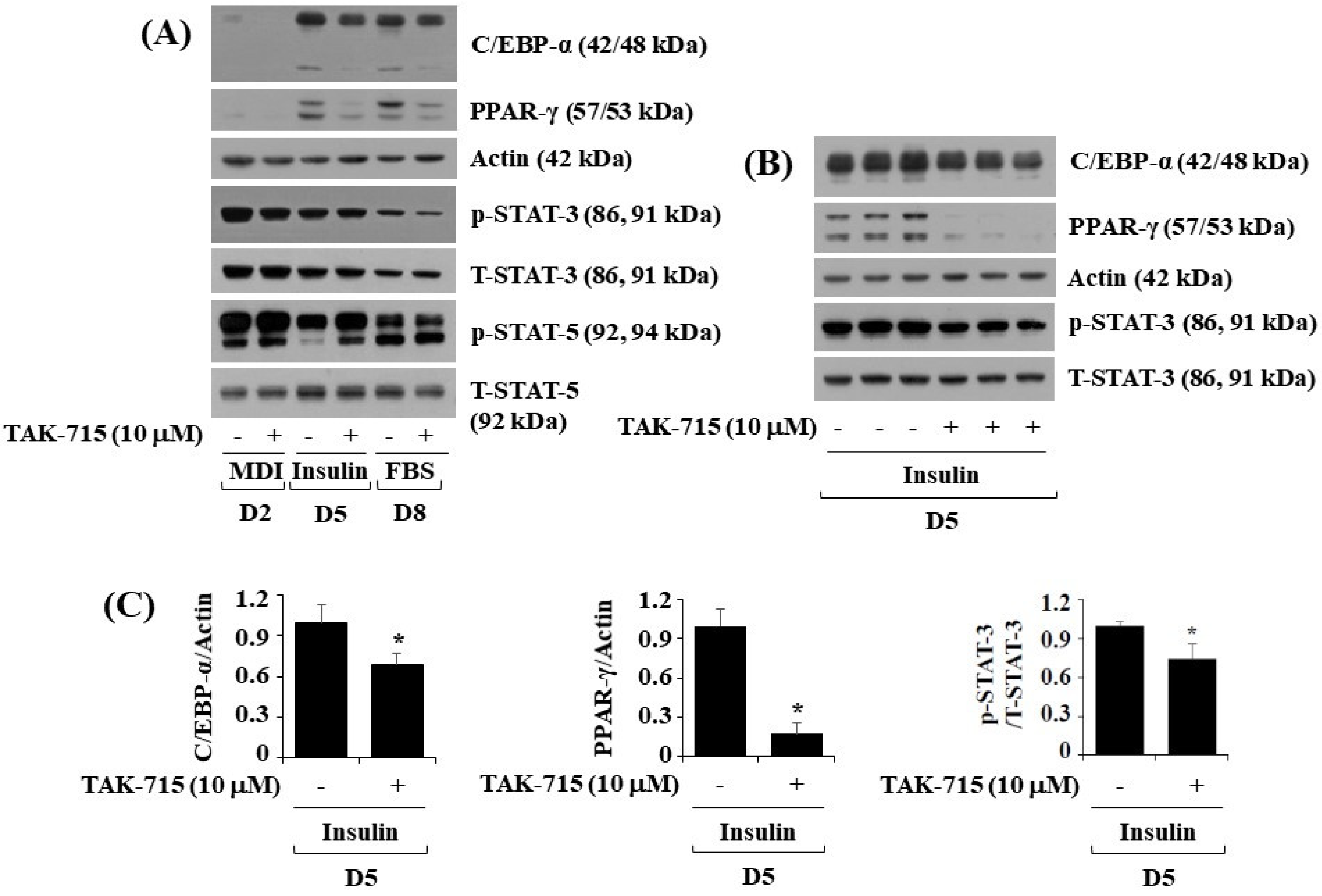 Life 13 00412 g002 Life 13 00412 g002