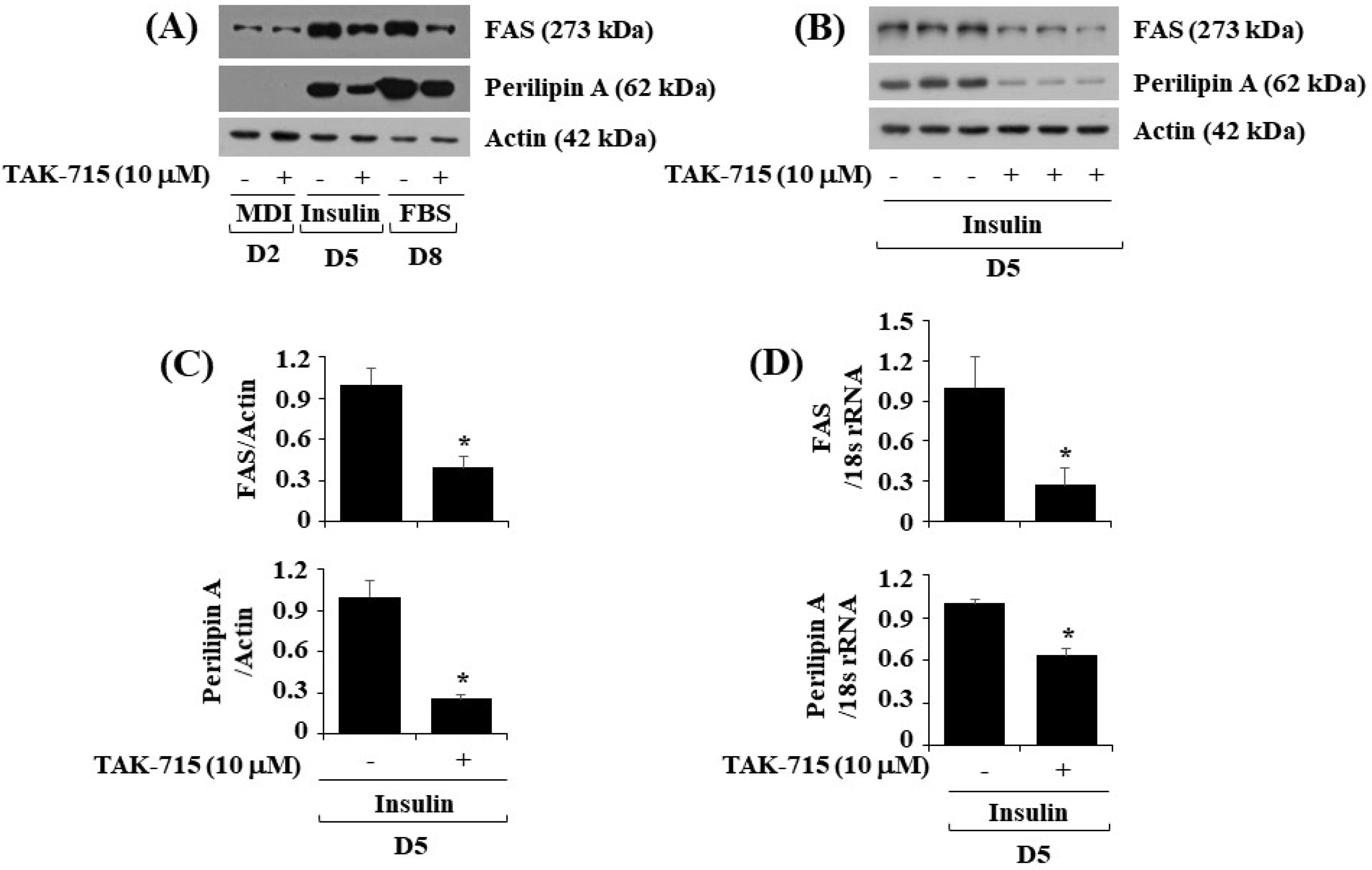 Life 13 00412 g003 Life 13 00412 g003