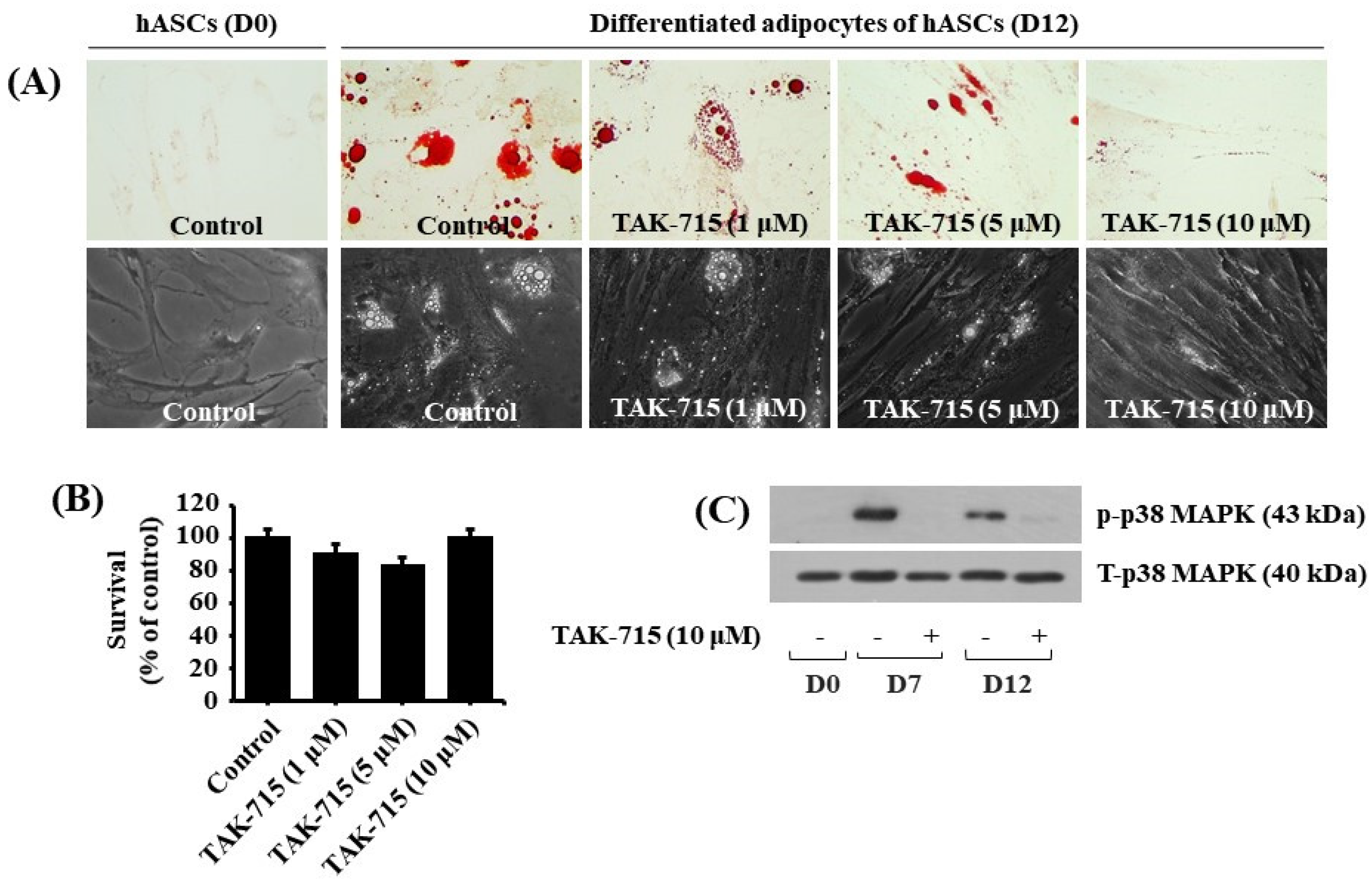 Life 13 00412 g005 Life 13 00412 g005
