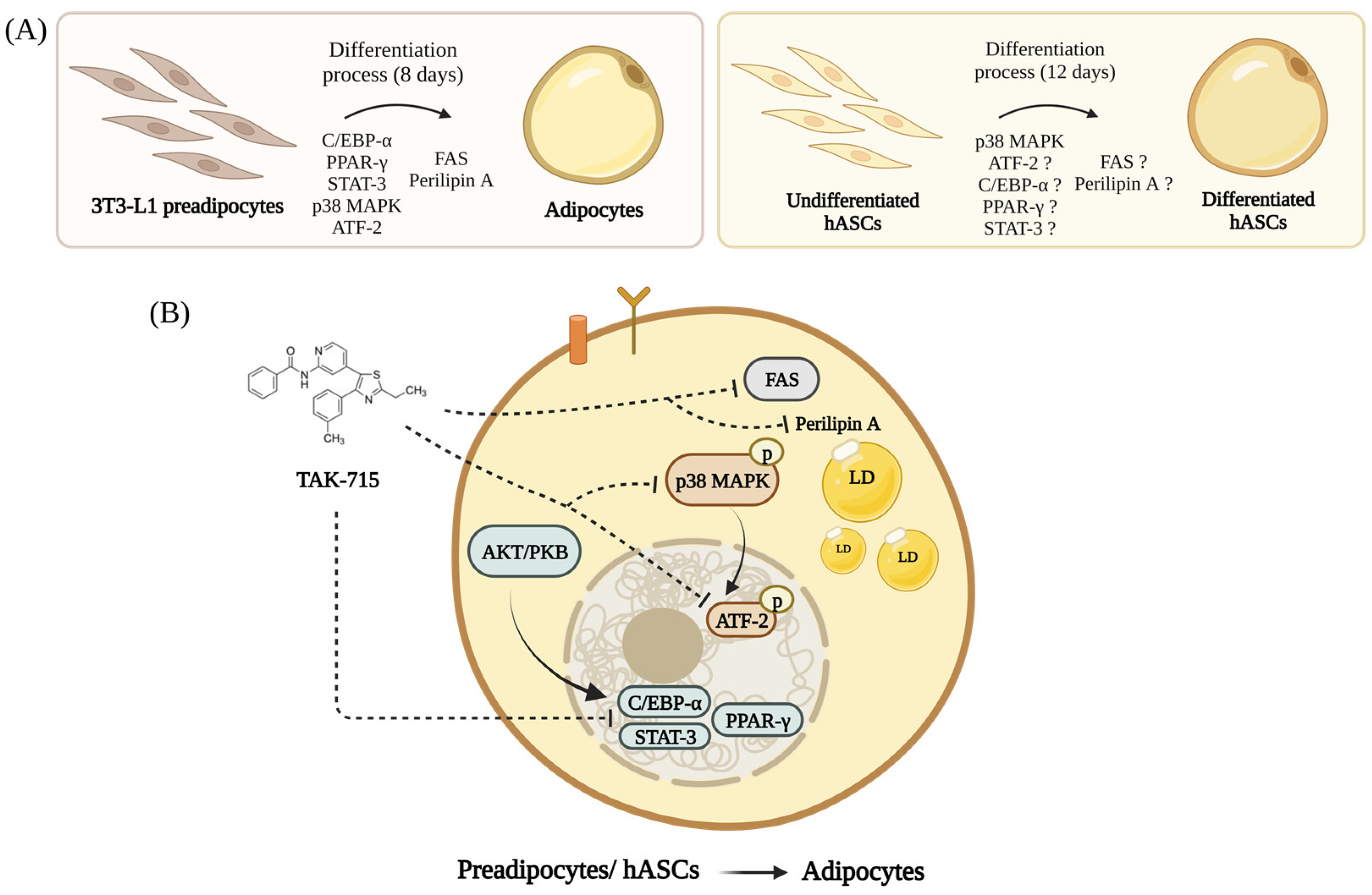 Life 13 00412 g006 Life 13 00412 g006