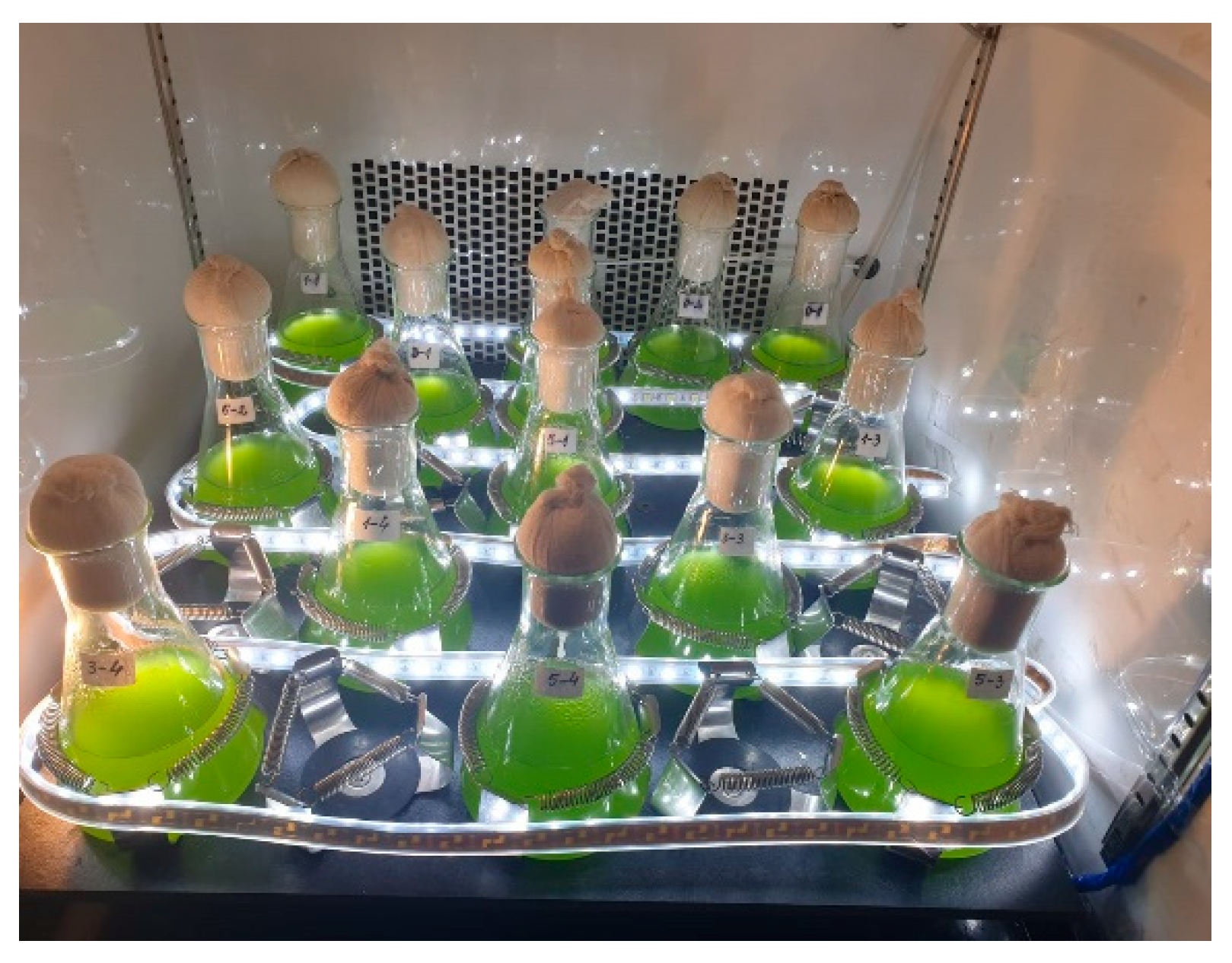 Life 13 00413 g001 550