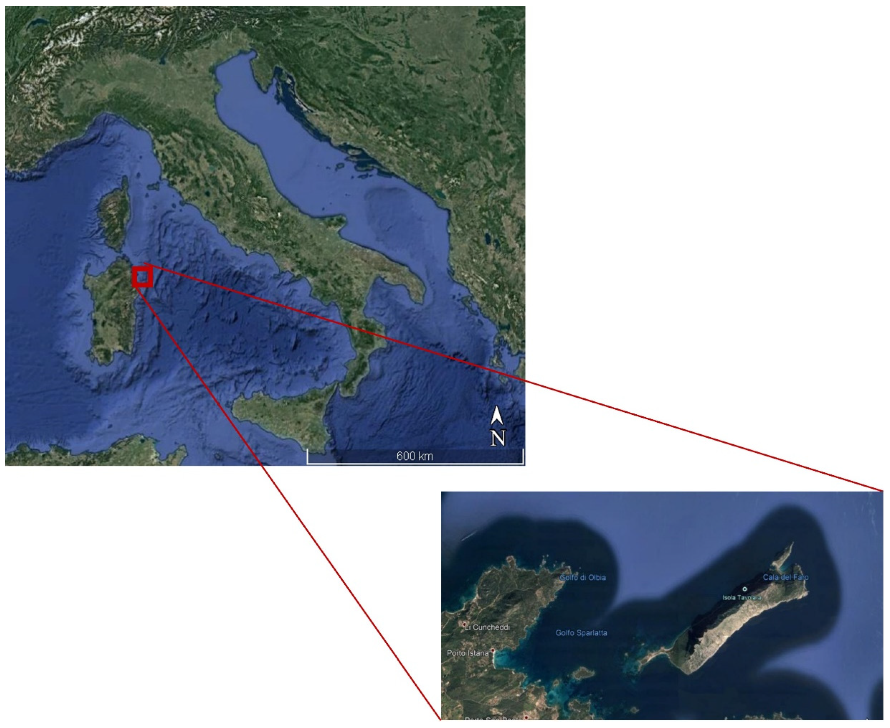 Life 13 00415 g001 Life 13 00415 g001