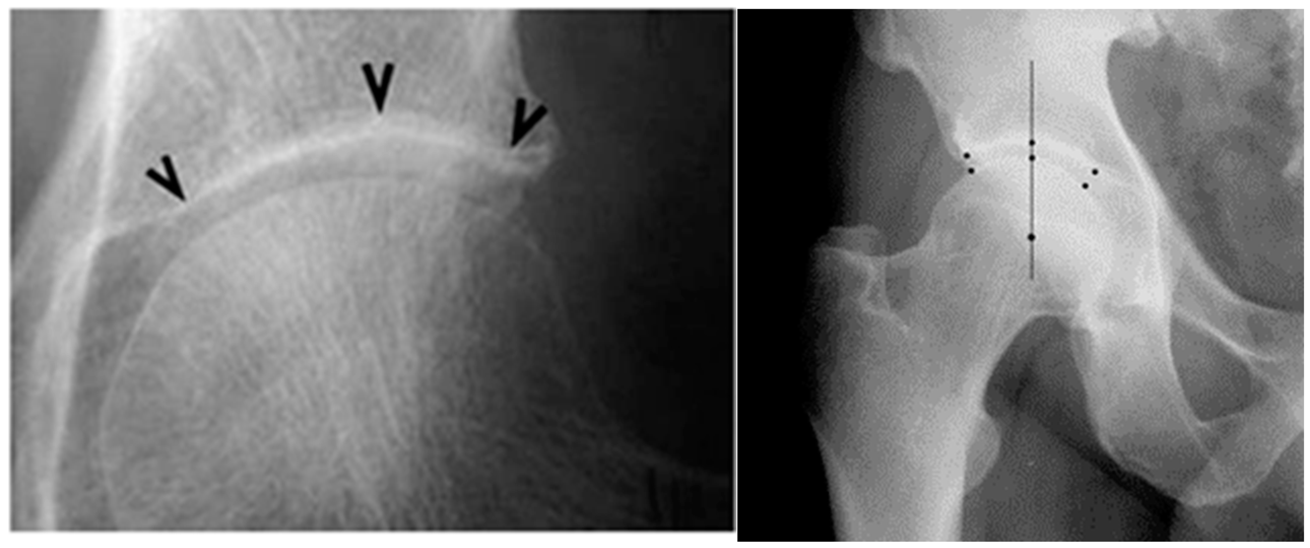 Life 13 00421 g001 Life 13 00421 g001