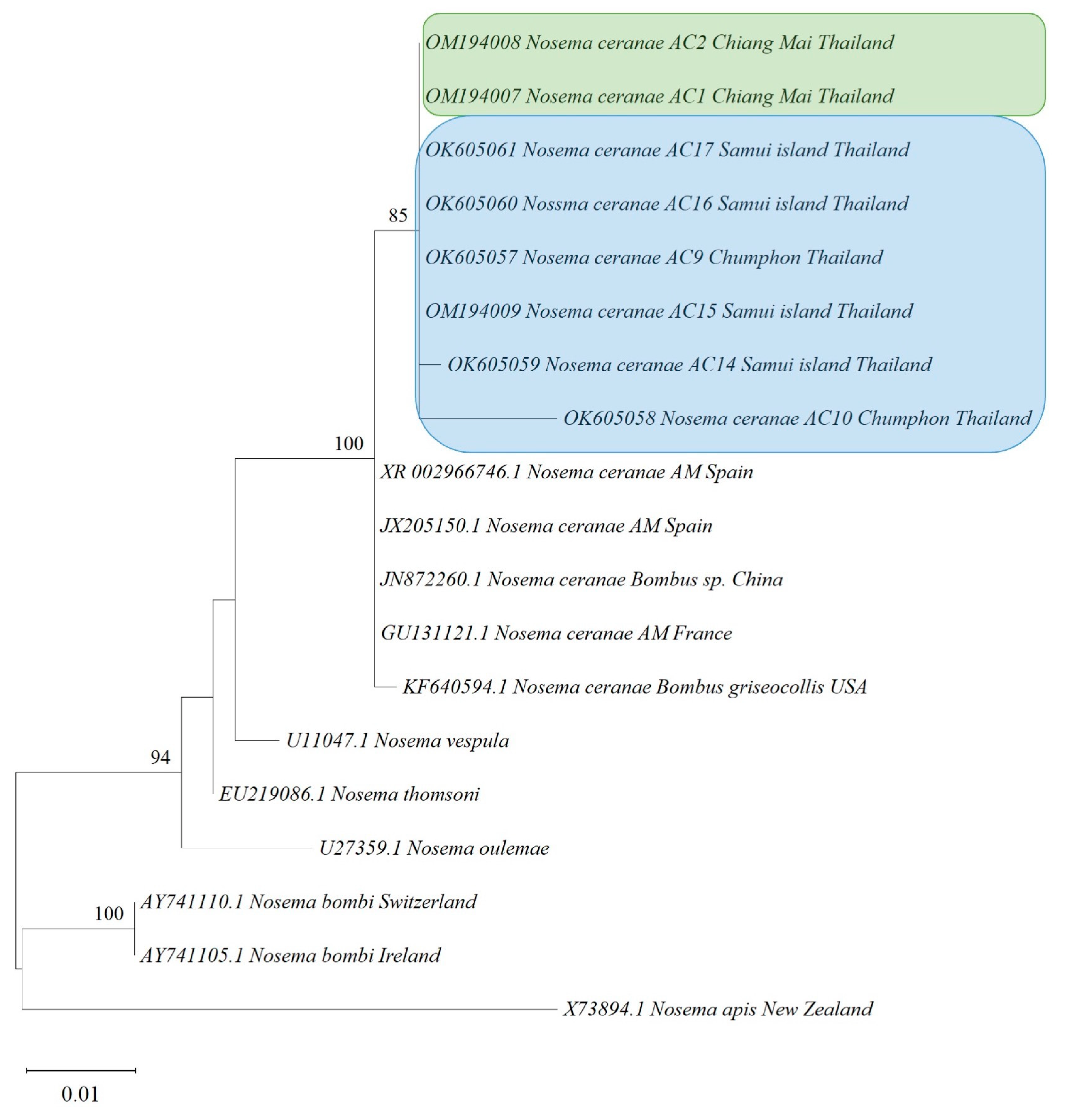 Life 13 00438 g002 Life 13 00438 g002