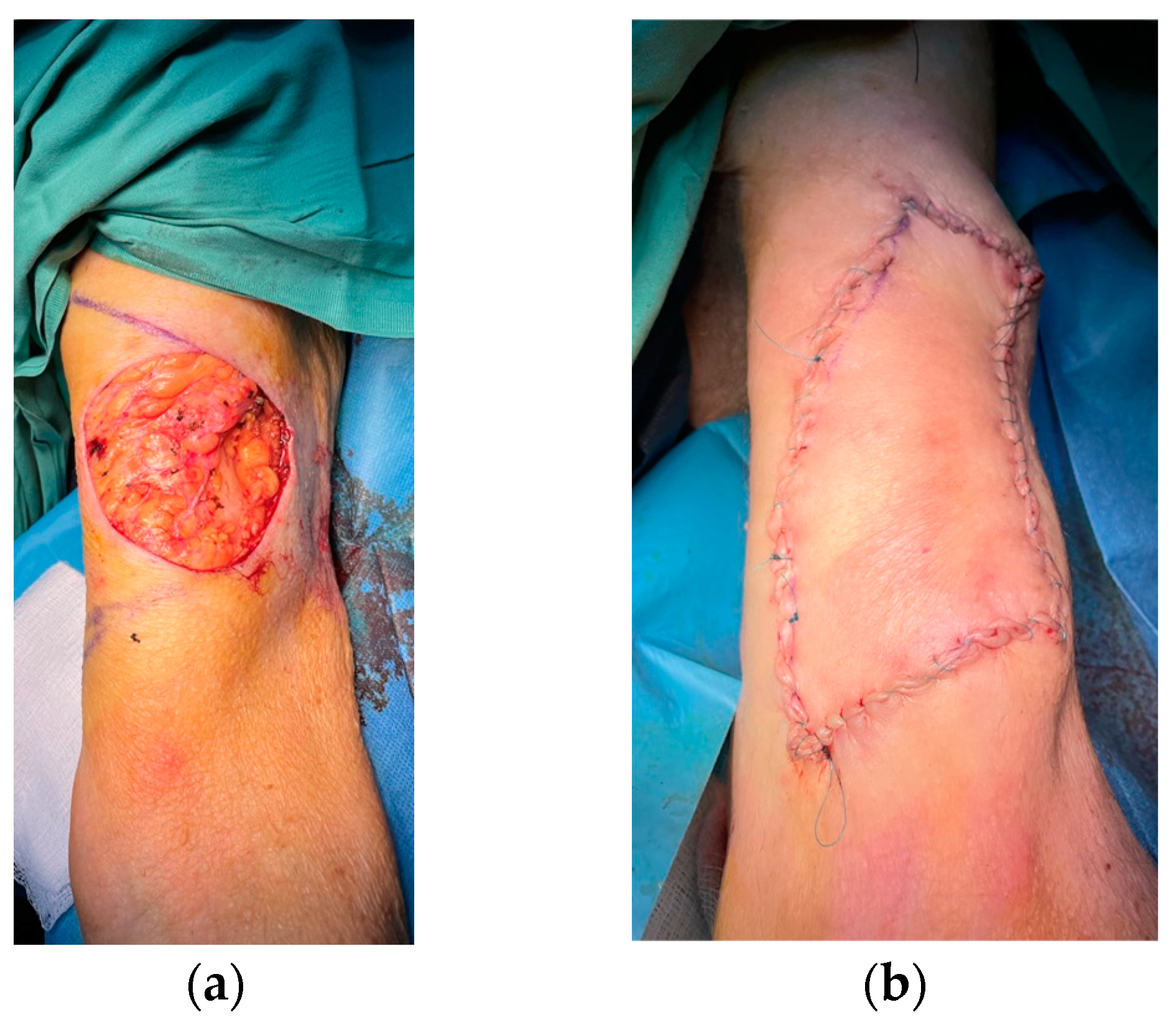 Life 13 00442 g002 550