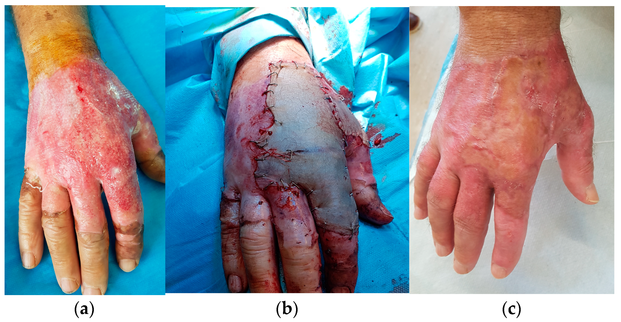 Life 13 00442 g004 550