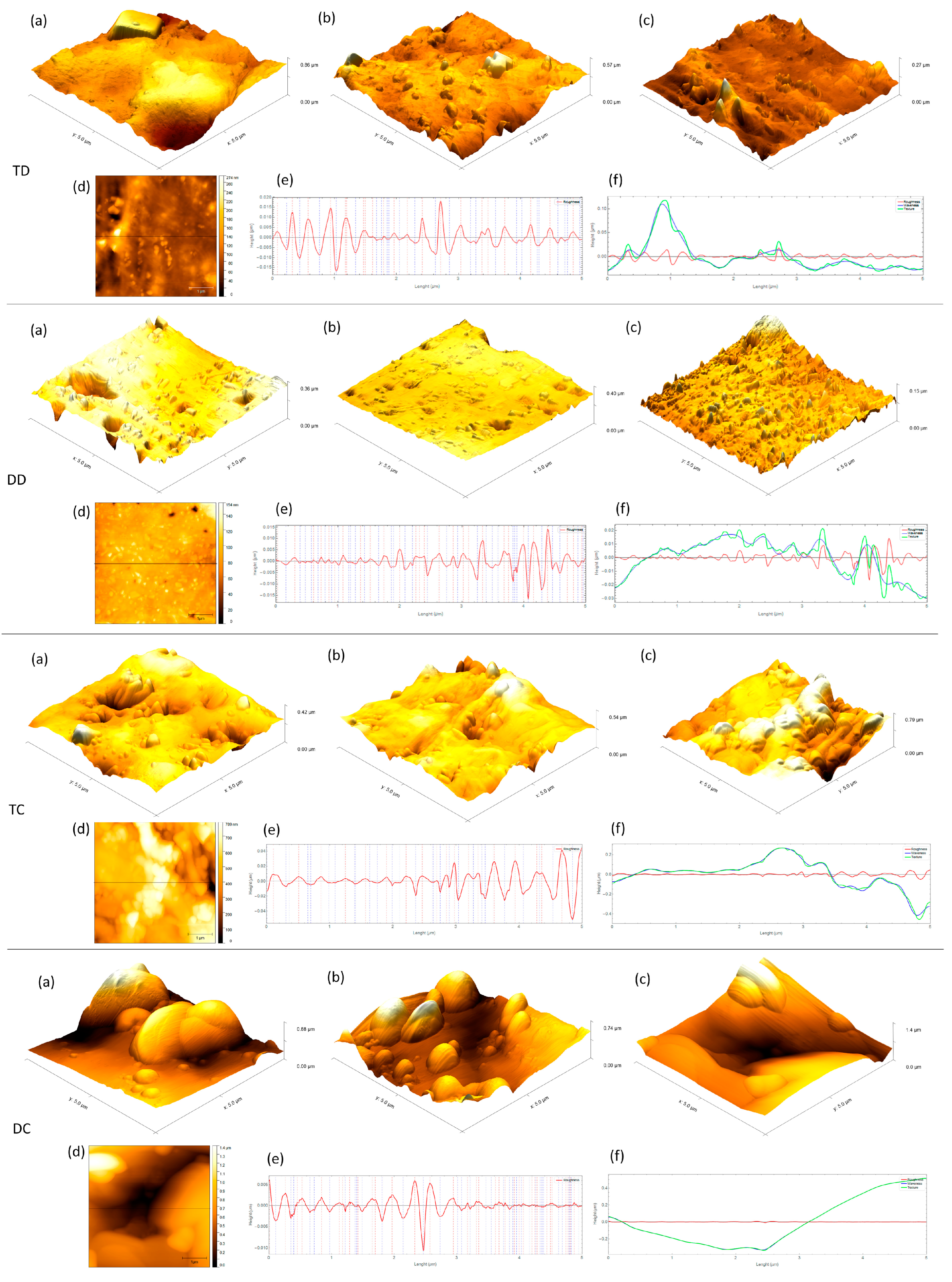 Life 13 00456 g002 Life 13 00456 g002