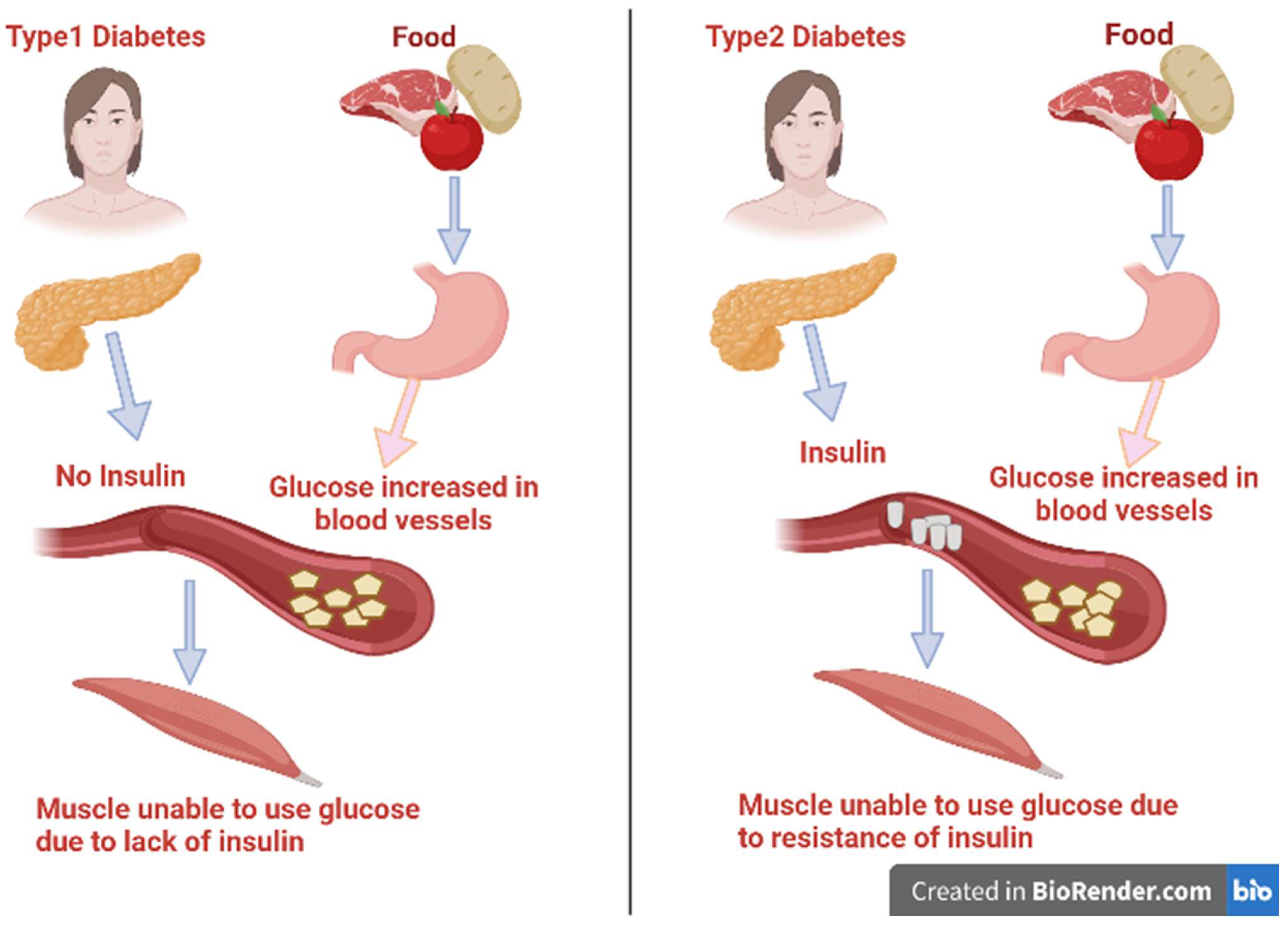 Life 13 00460 g001 Life 13 00460 g001