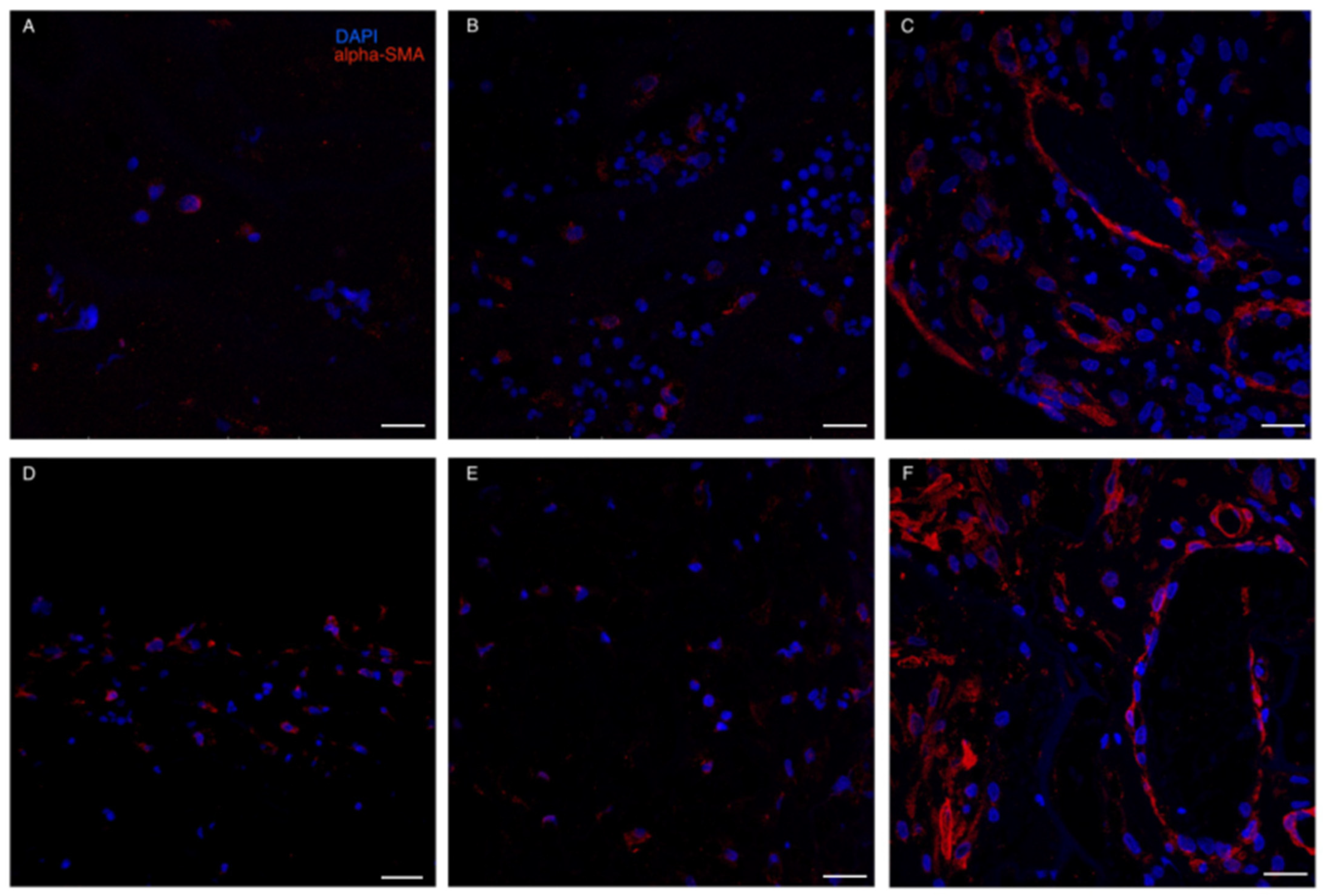 Life 13 00463 g006 Life 13 00463 g006