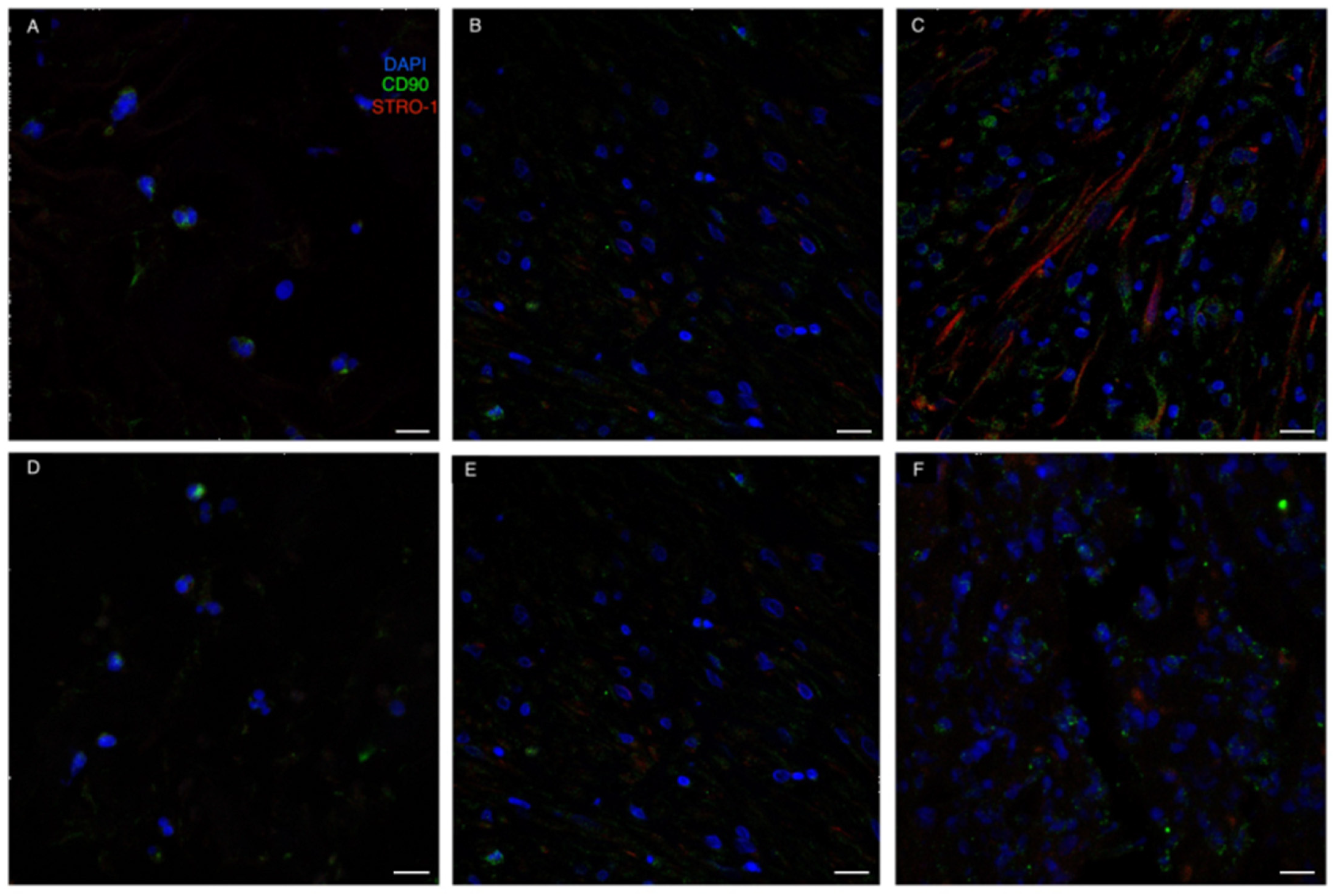 Life 13 00463 g007 Life 13 00463 g007