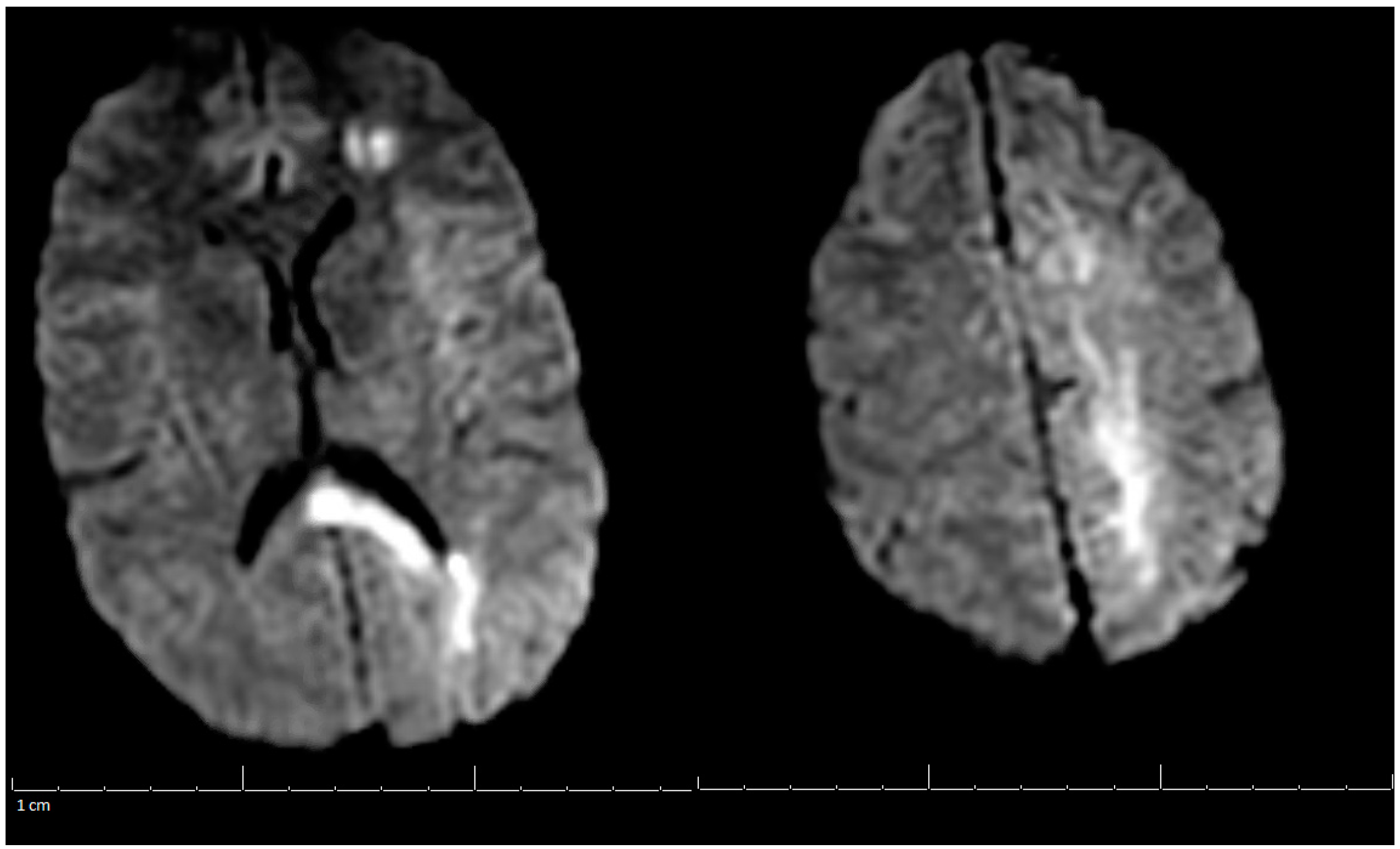 Life 13 00464 g001 Life 13 00464 g001