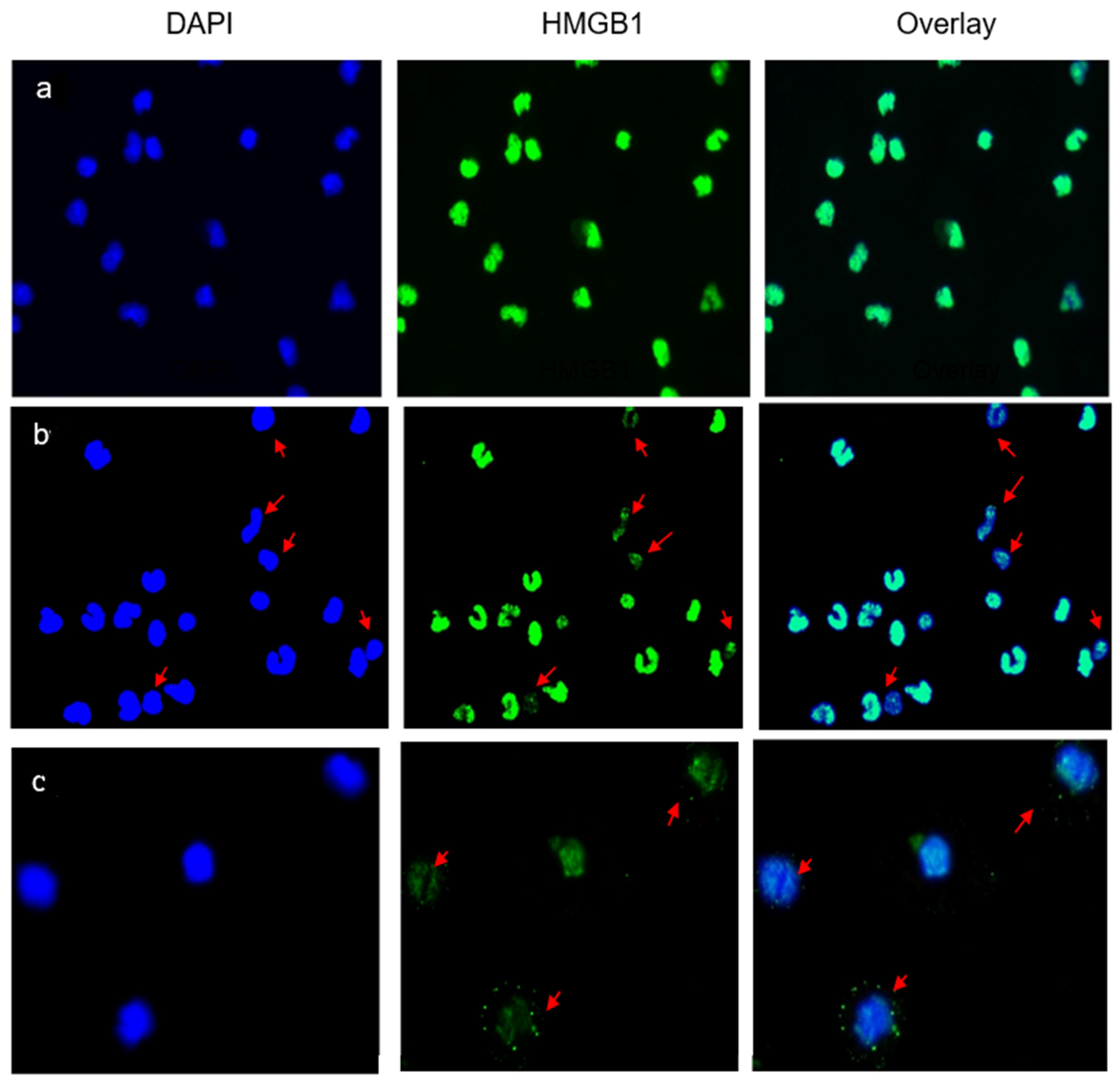 Life 13 00468 g002 Life 13 00468 g002