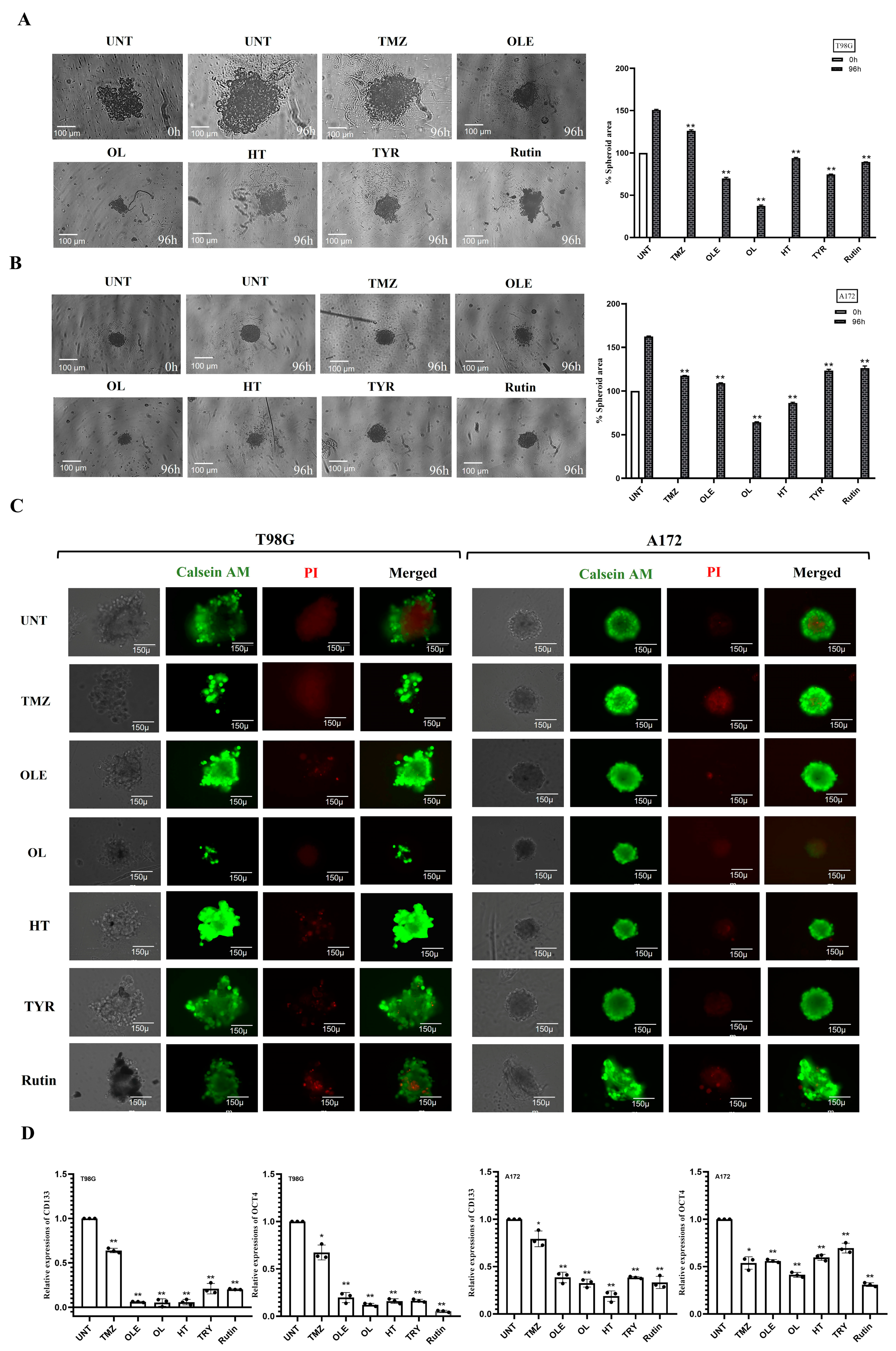 Life 13 00470 g007 Life 13 00470 g007