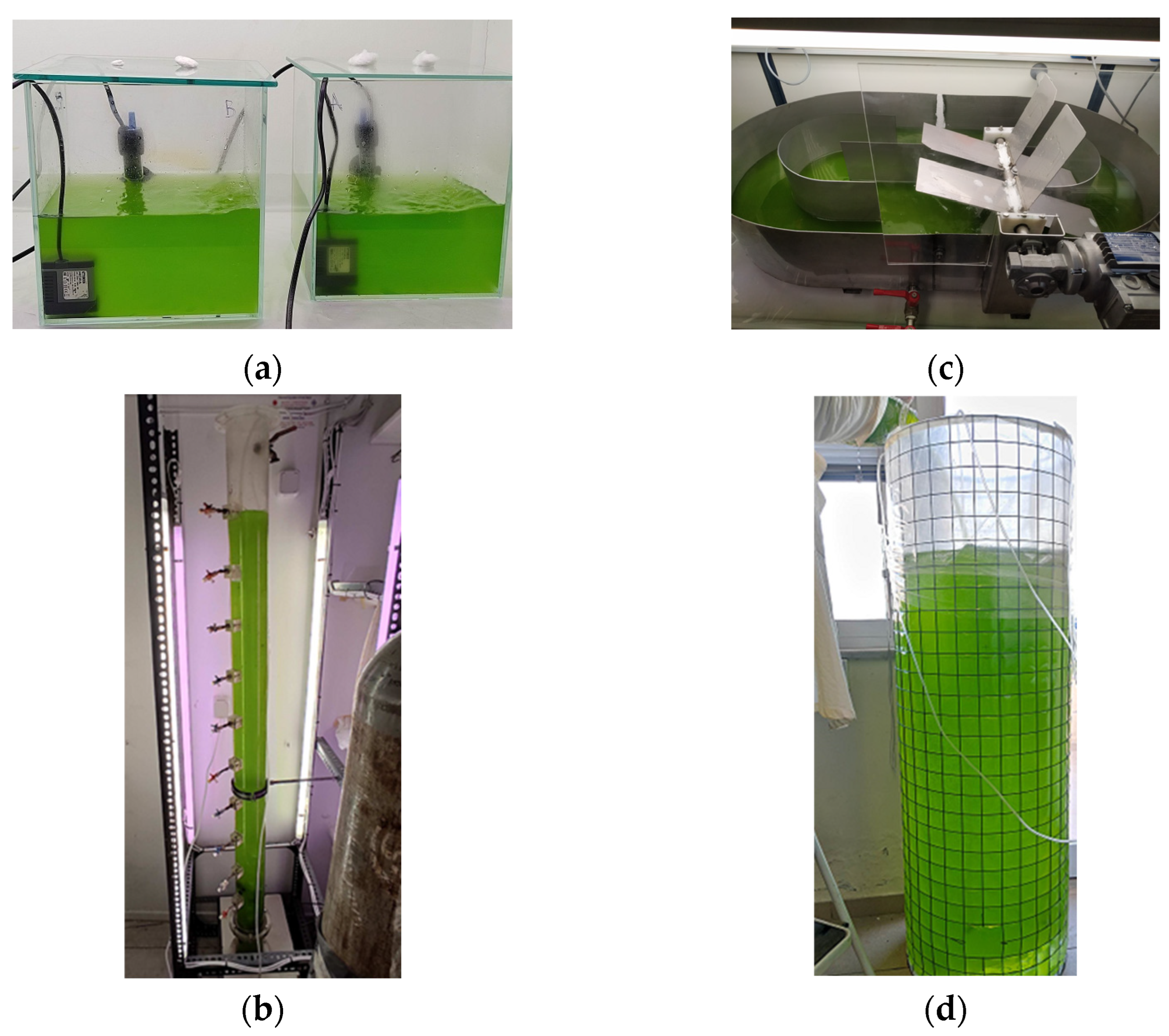 Life 13 00480 g001 Life 13 00480 g001