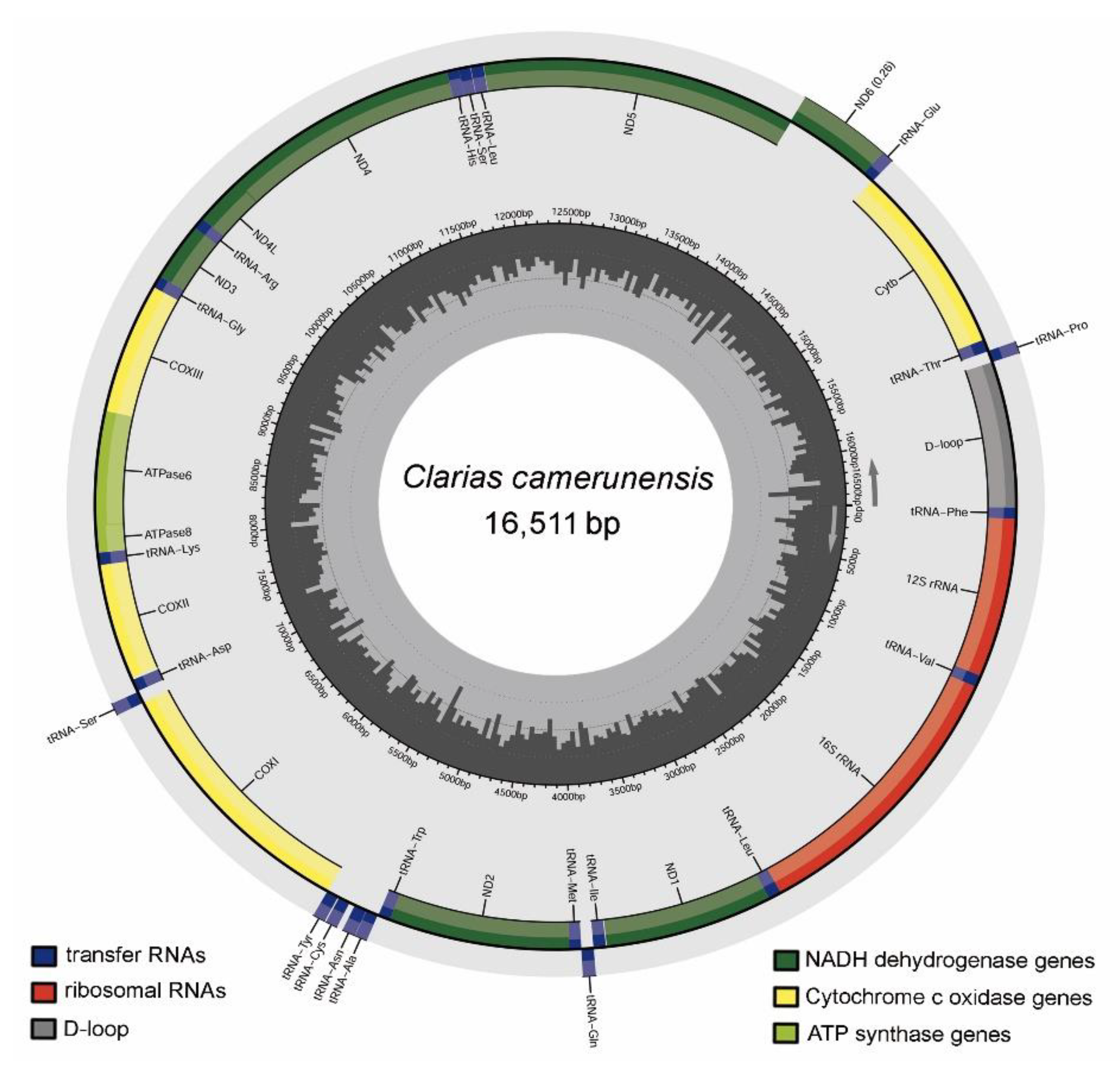 Life 13 00482 g001 Life 13 00482 g001