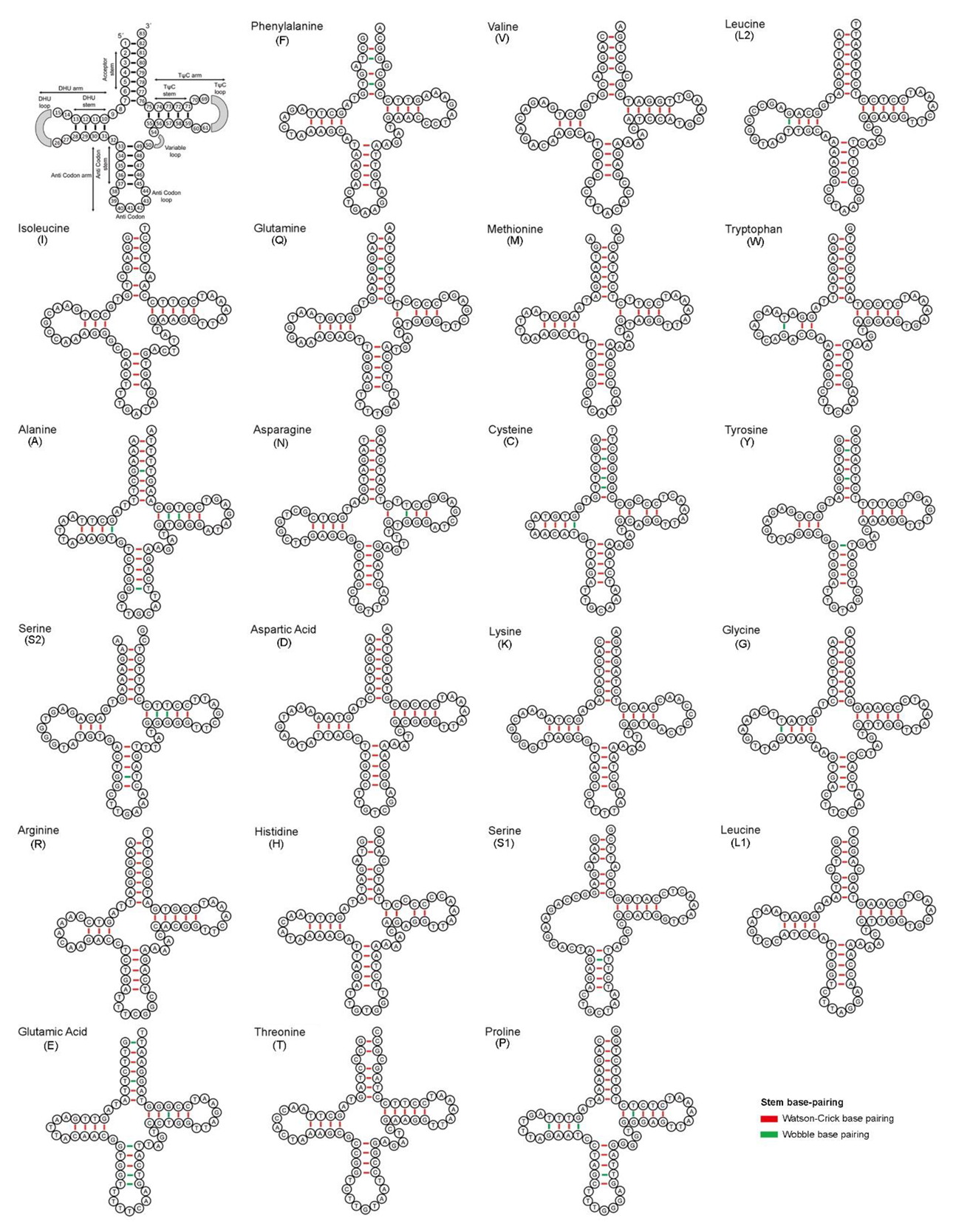 Life 13 00482 g002 Life 13 00482 g002