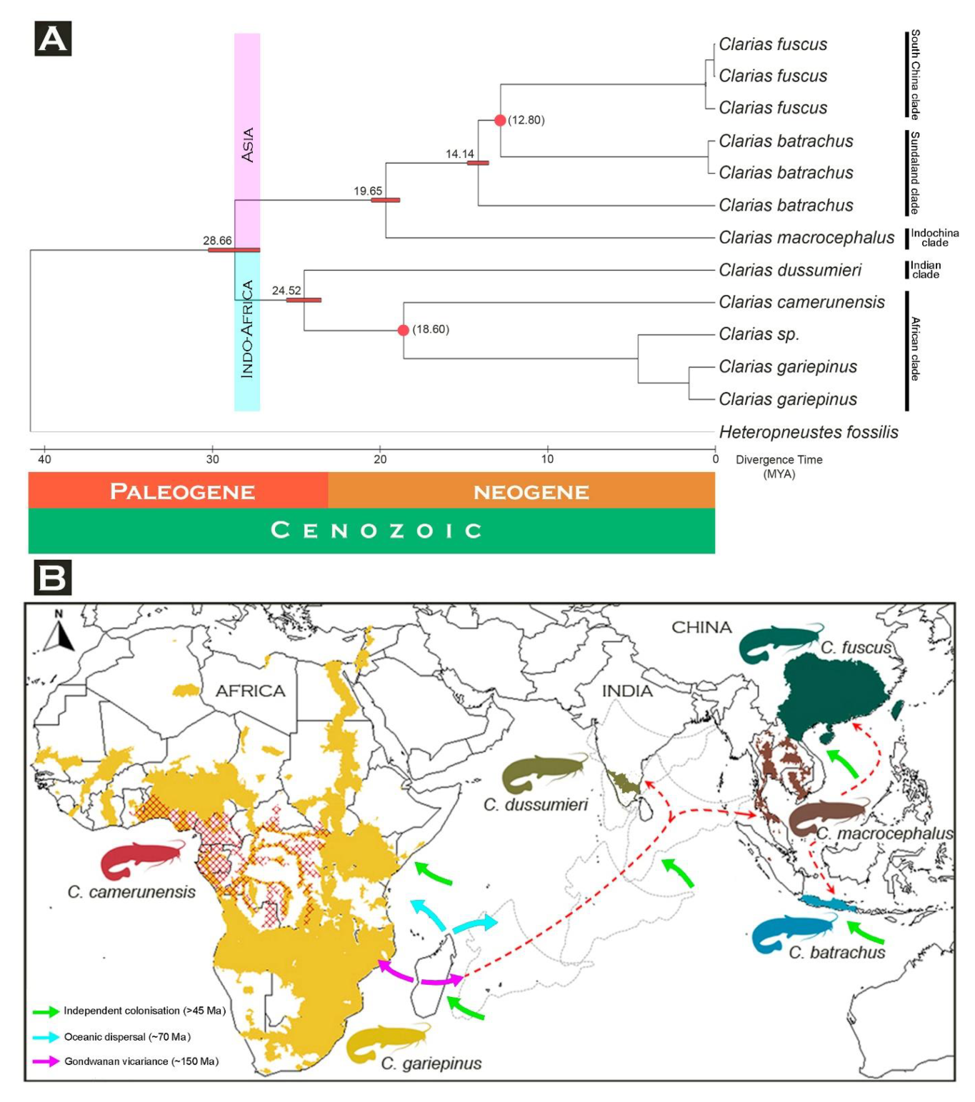 Life 13 00482 g005 Life 13 00482 g005