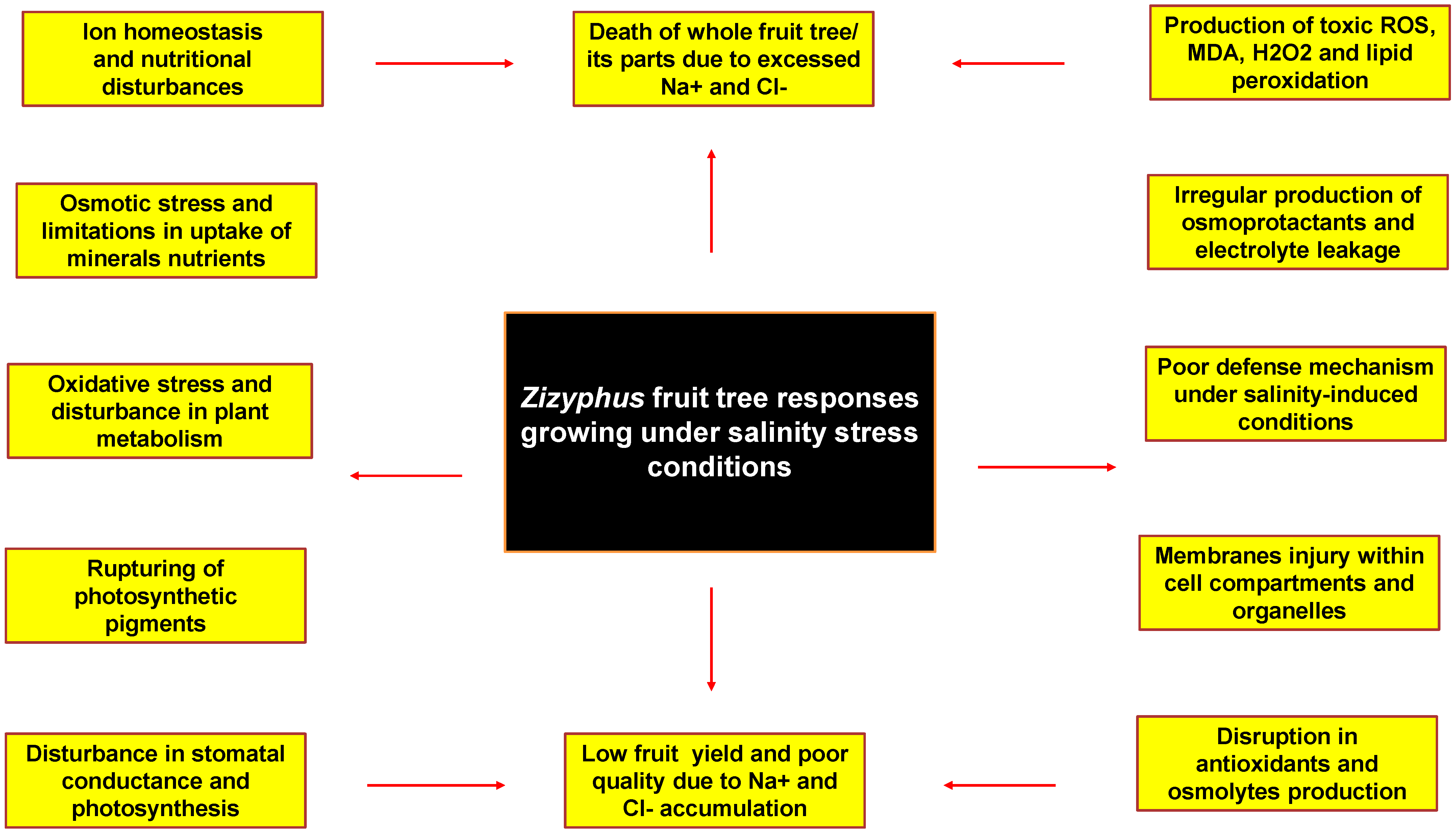 Life 13 00493 g002 Life 13 00493 g002