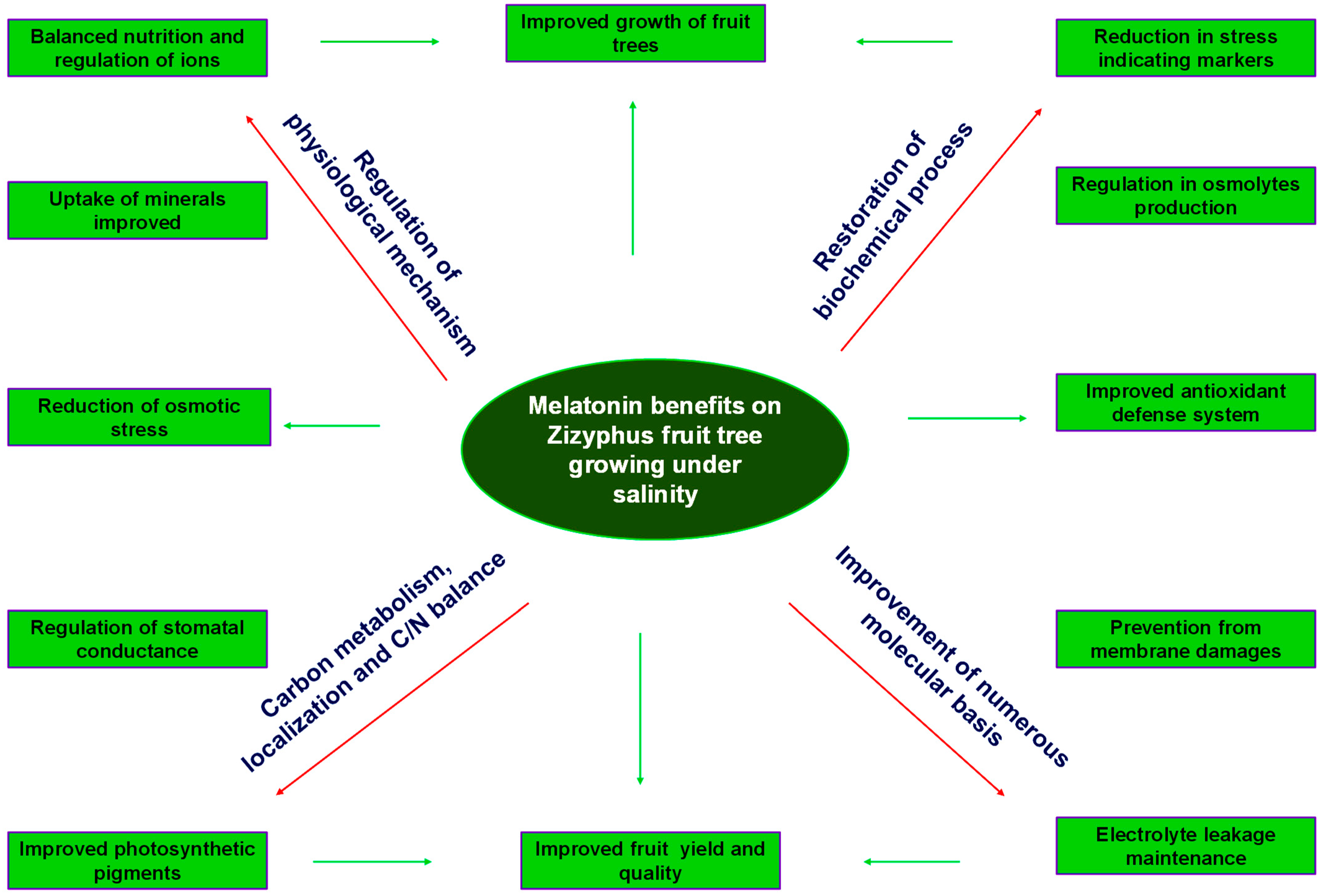 Life 13 00493 g003 Life 13 00493 g003