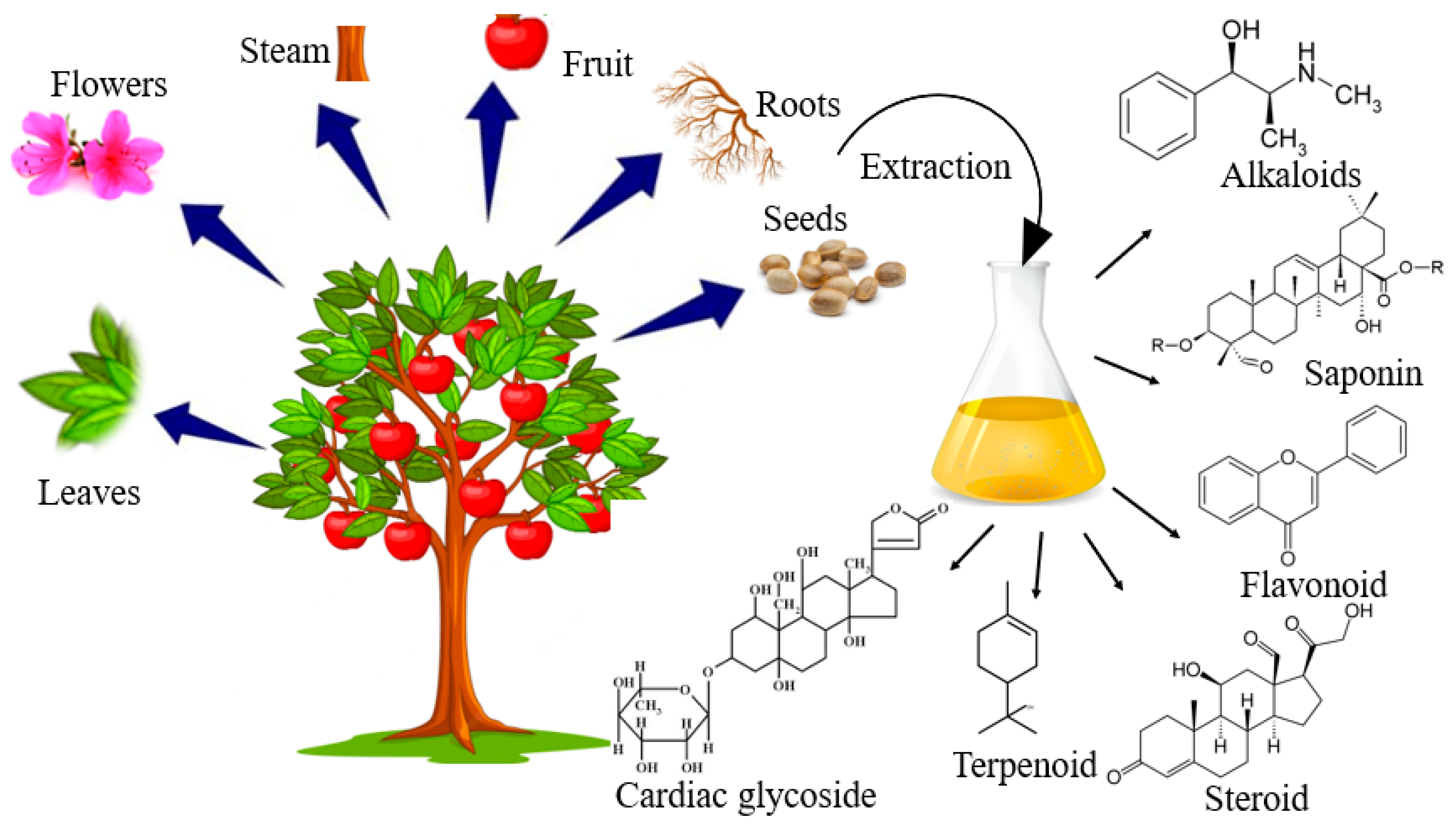 Life 13 00503 g005 Life 13 00503 g005