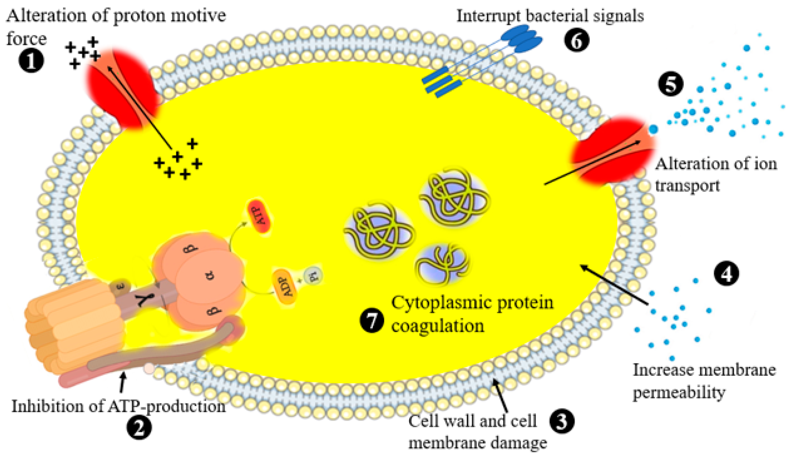 Life 13 00503 g006 Life 13 00503 g006