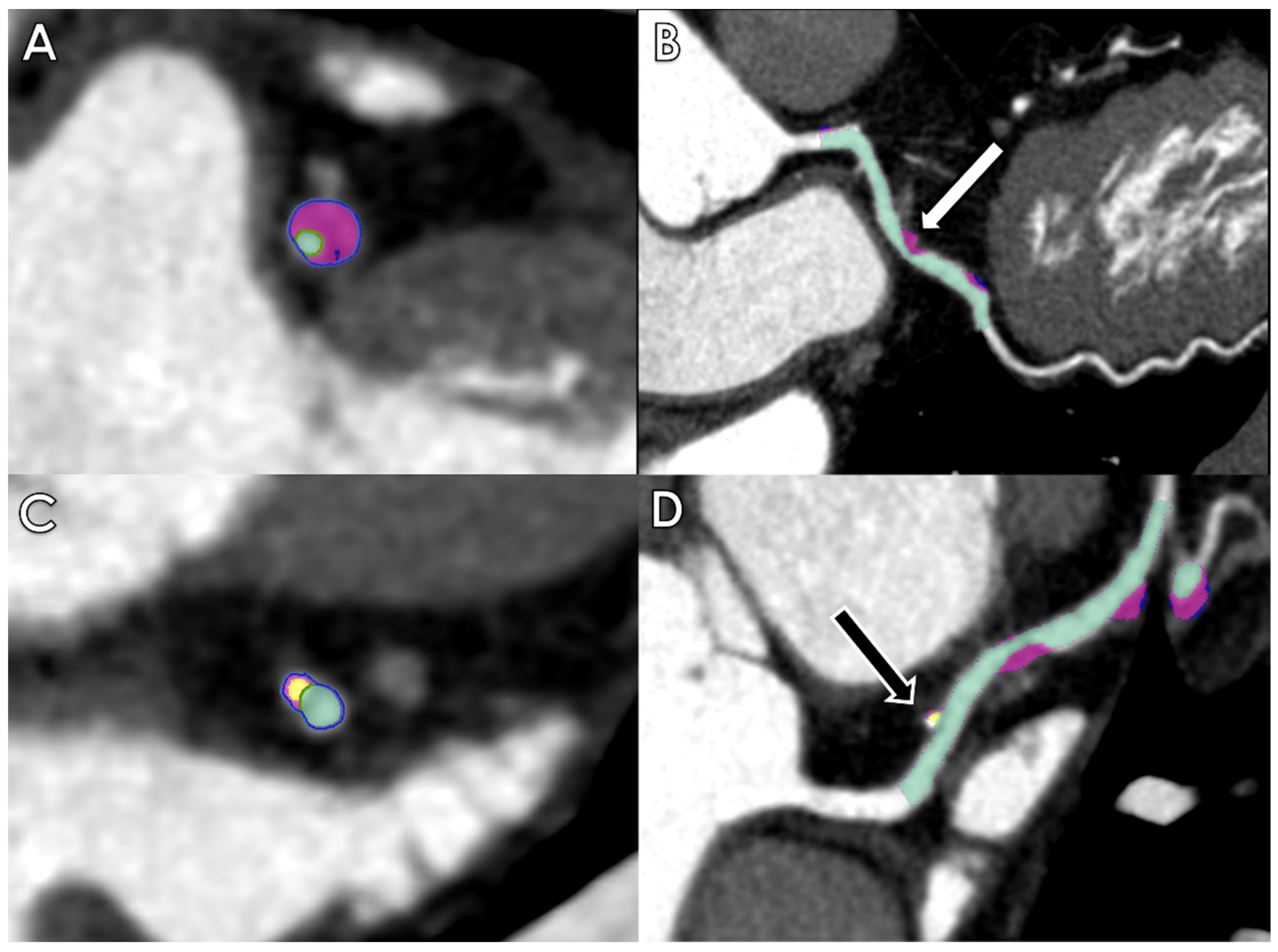 Life 13 00507 g001 Life 13 00507 g001