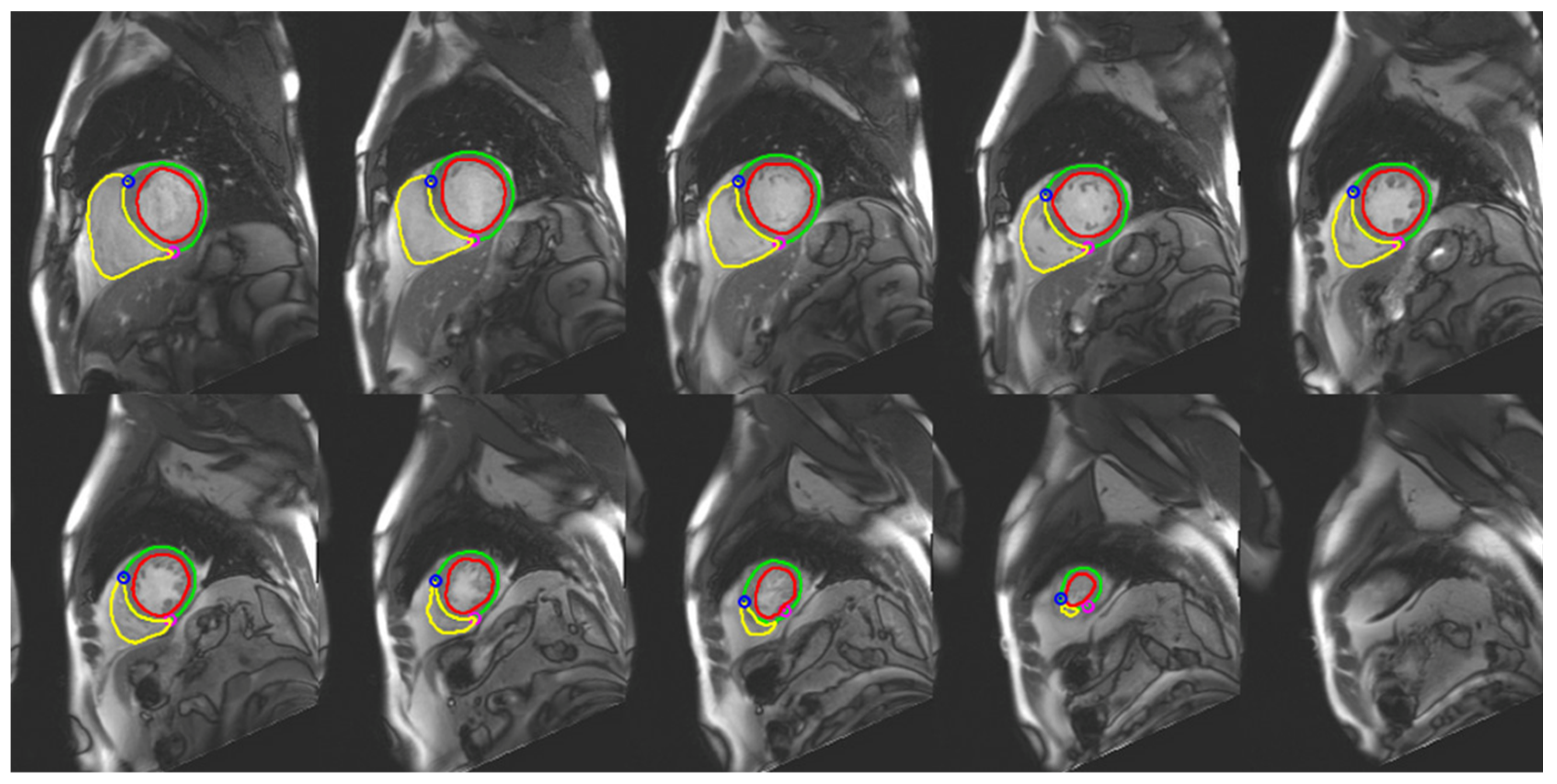 Life 13 00507 g002 Life 13 00507 g002