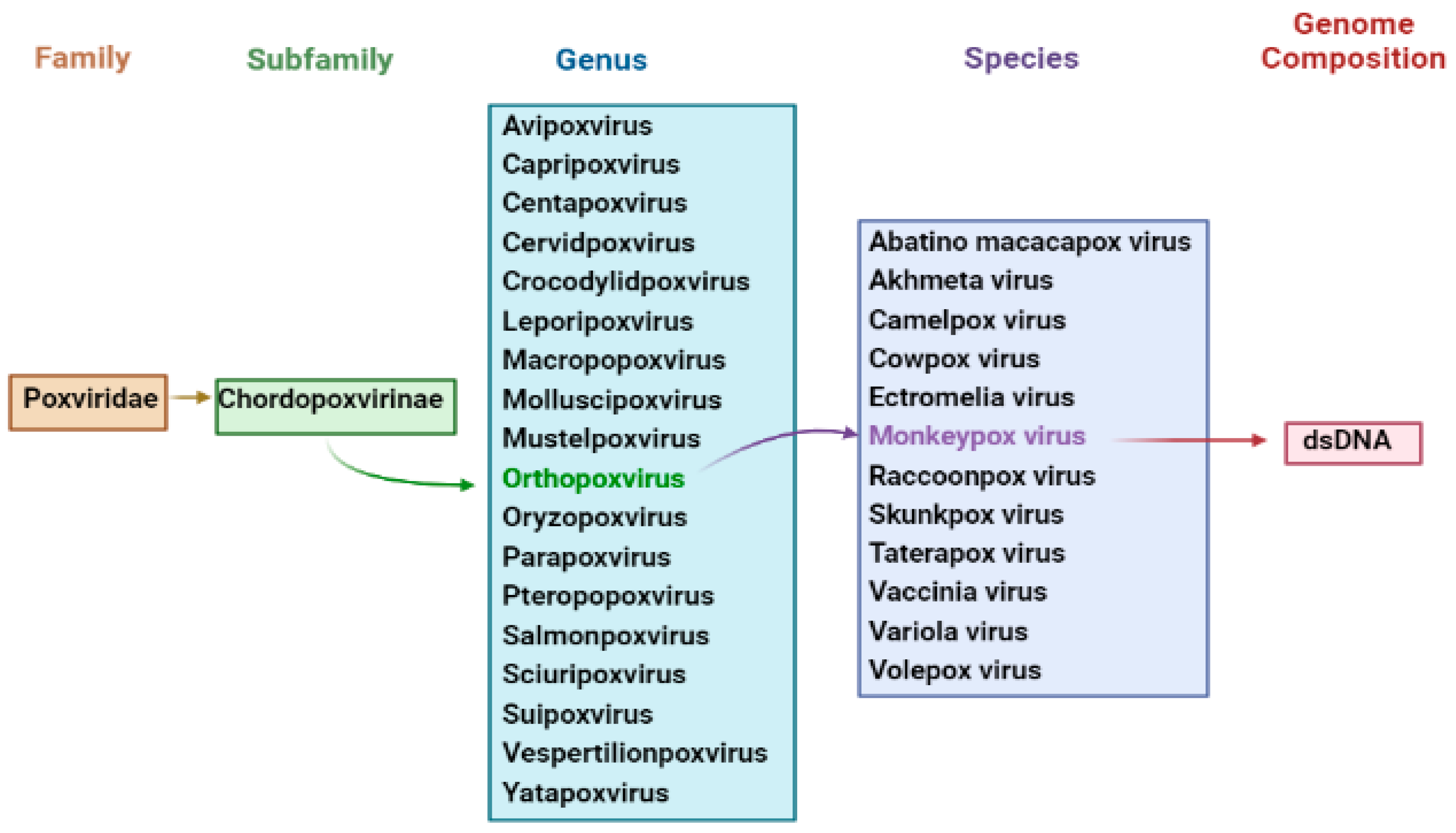 Clinical Manifestation, Pathogenesis and Diagnosis of Monkeypox Virus ...