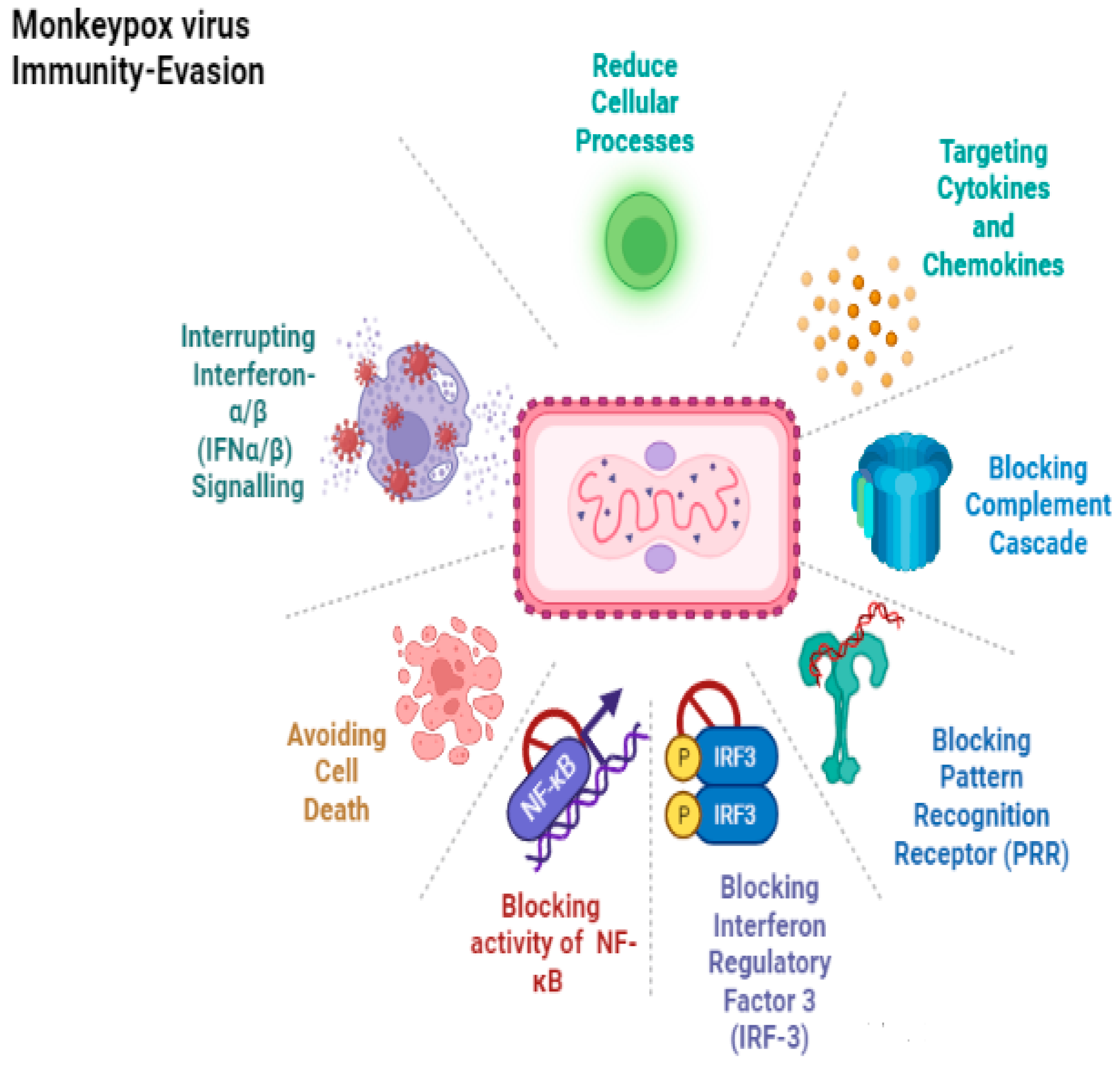 Life 13 00522 g006 Life 13 00522 g006