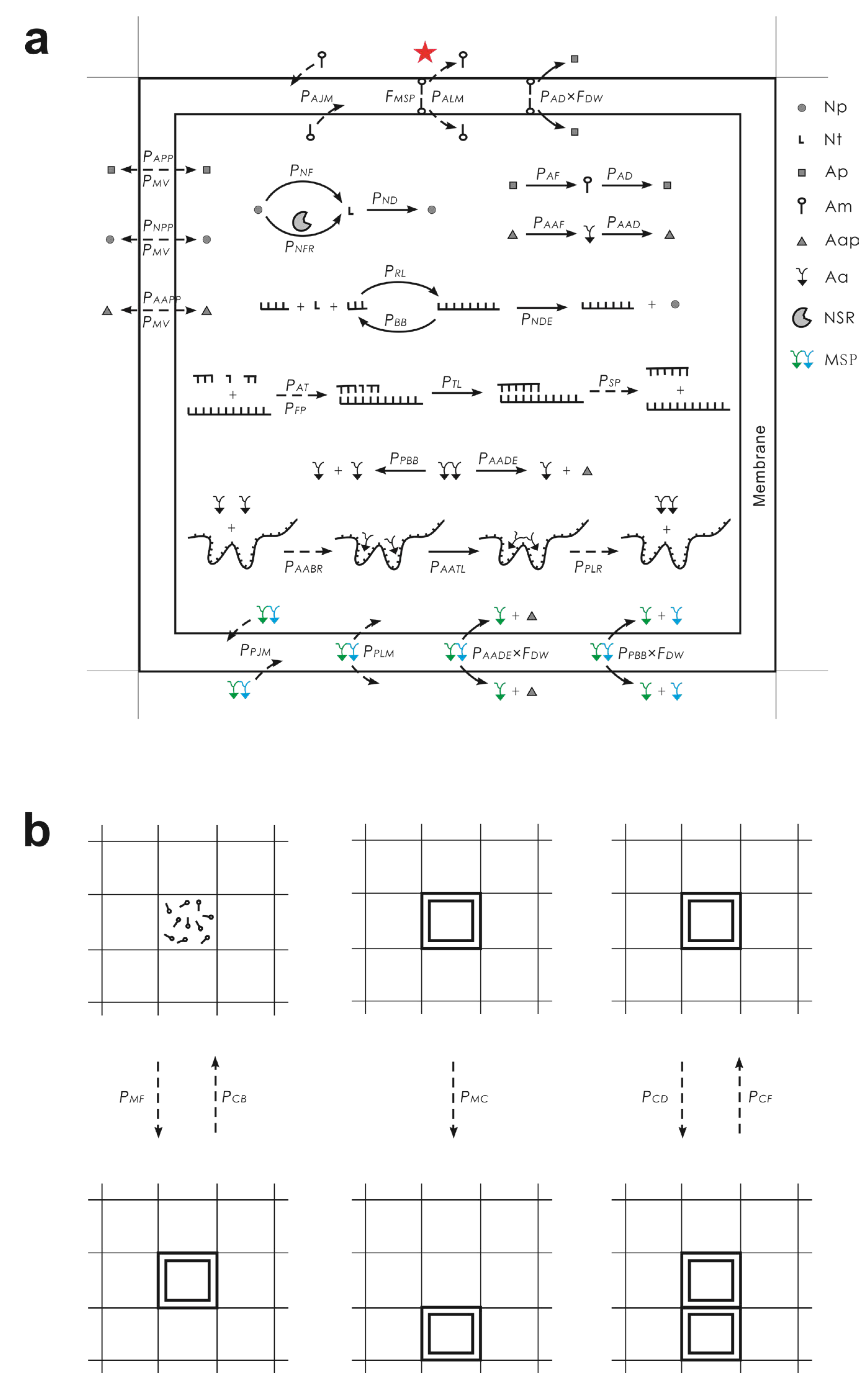 Life 13 00523 g006 Life 13 00523 g006