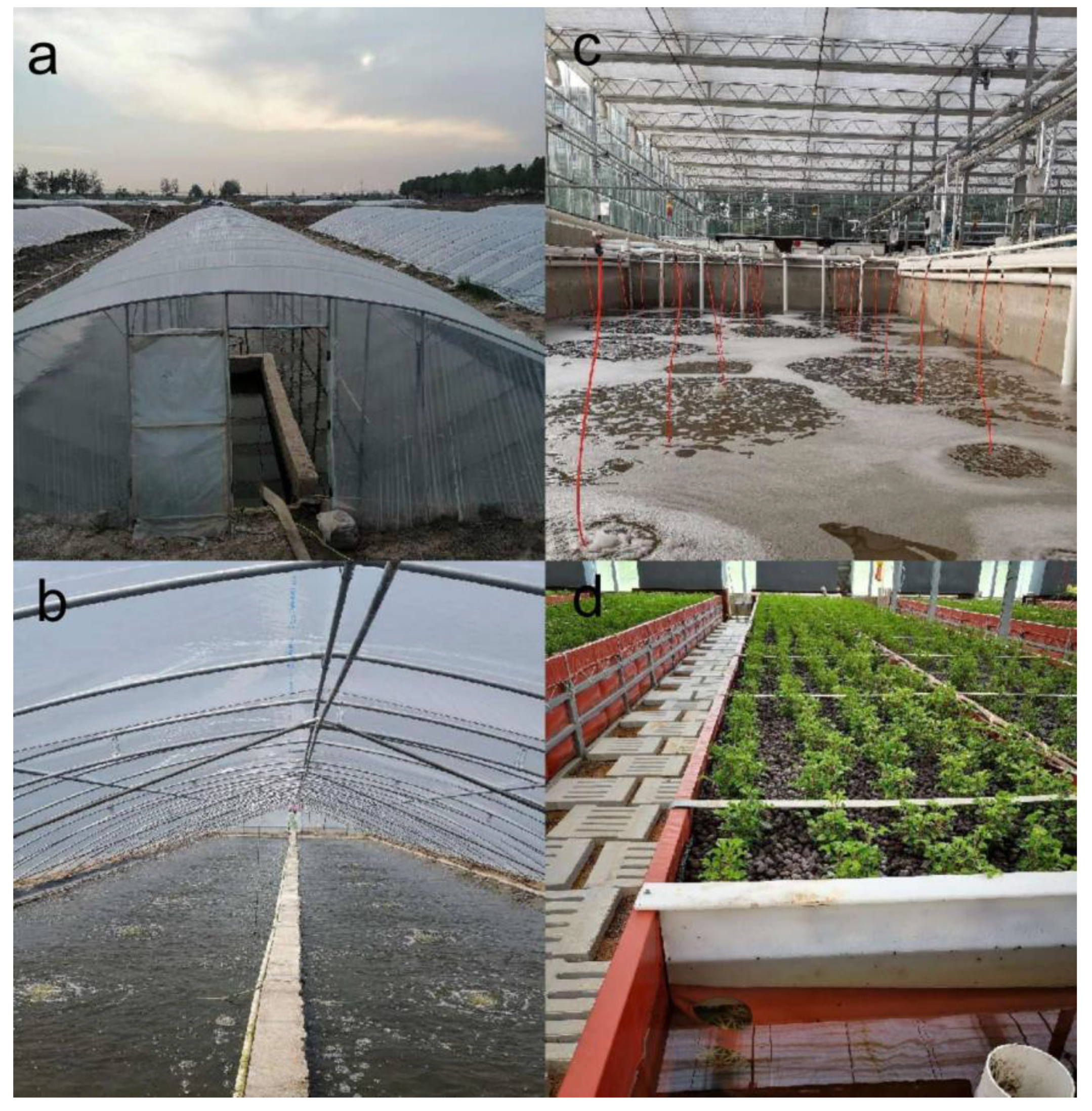 Life 13 00525 g001 550