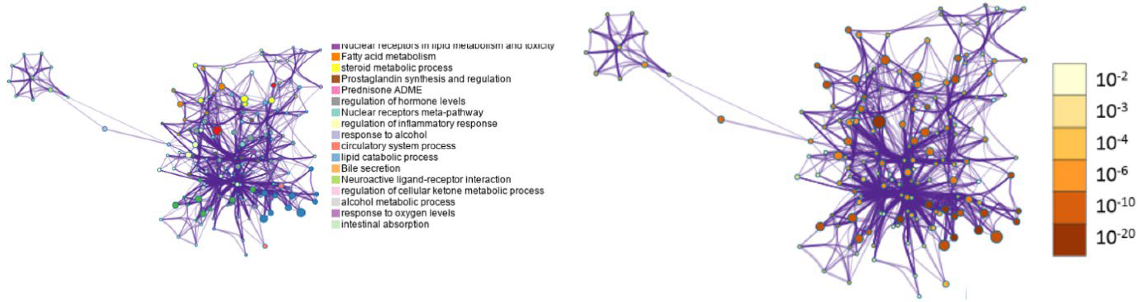 Life 13 00526 g005 Life 13 00526 g005