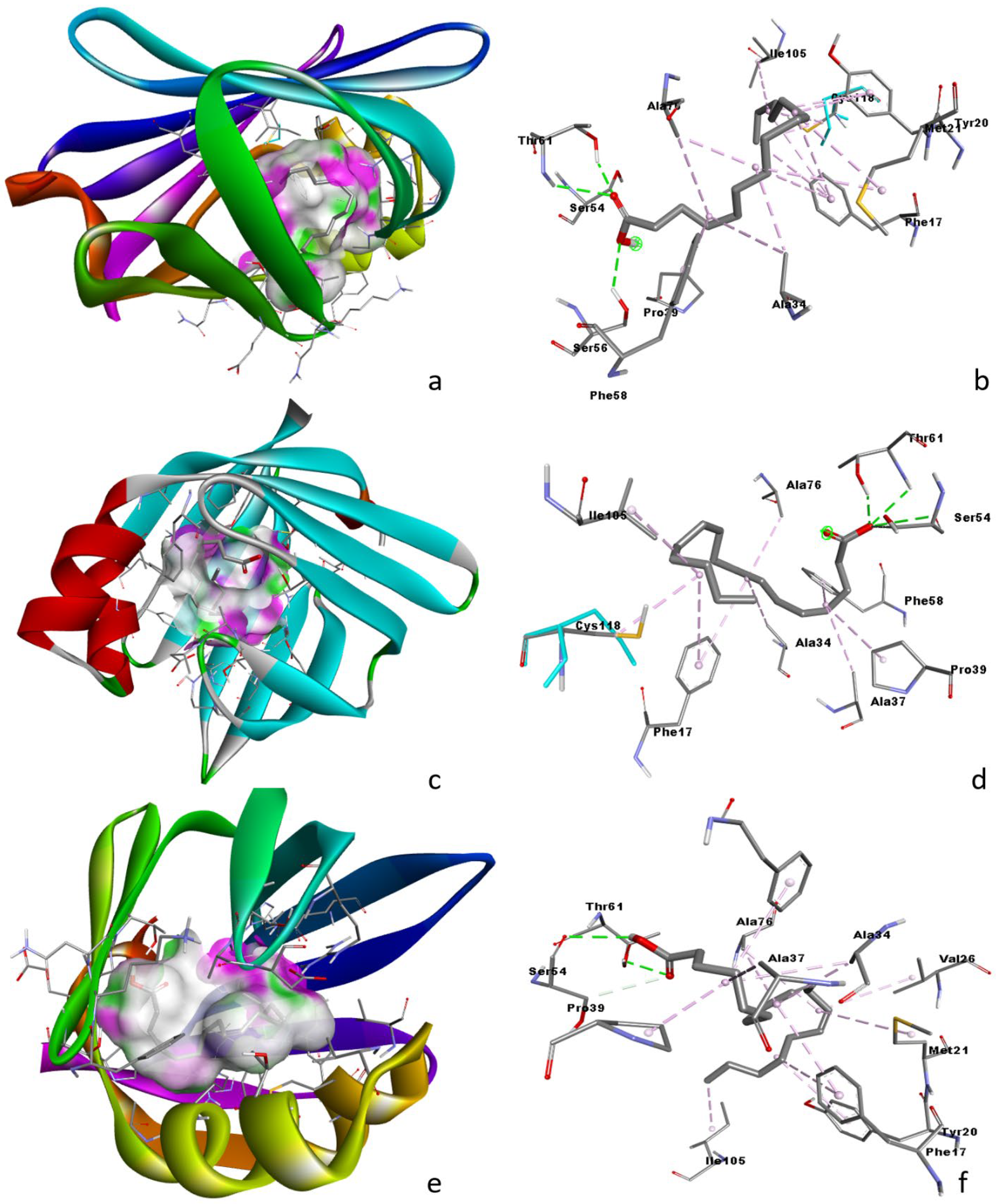Life 13 00526 g007 Life 13 00526 g007