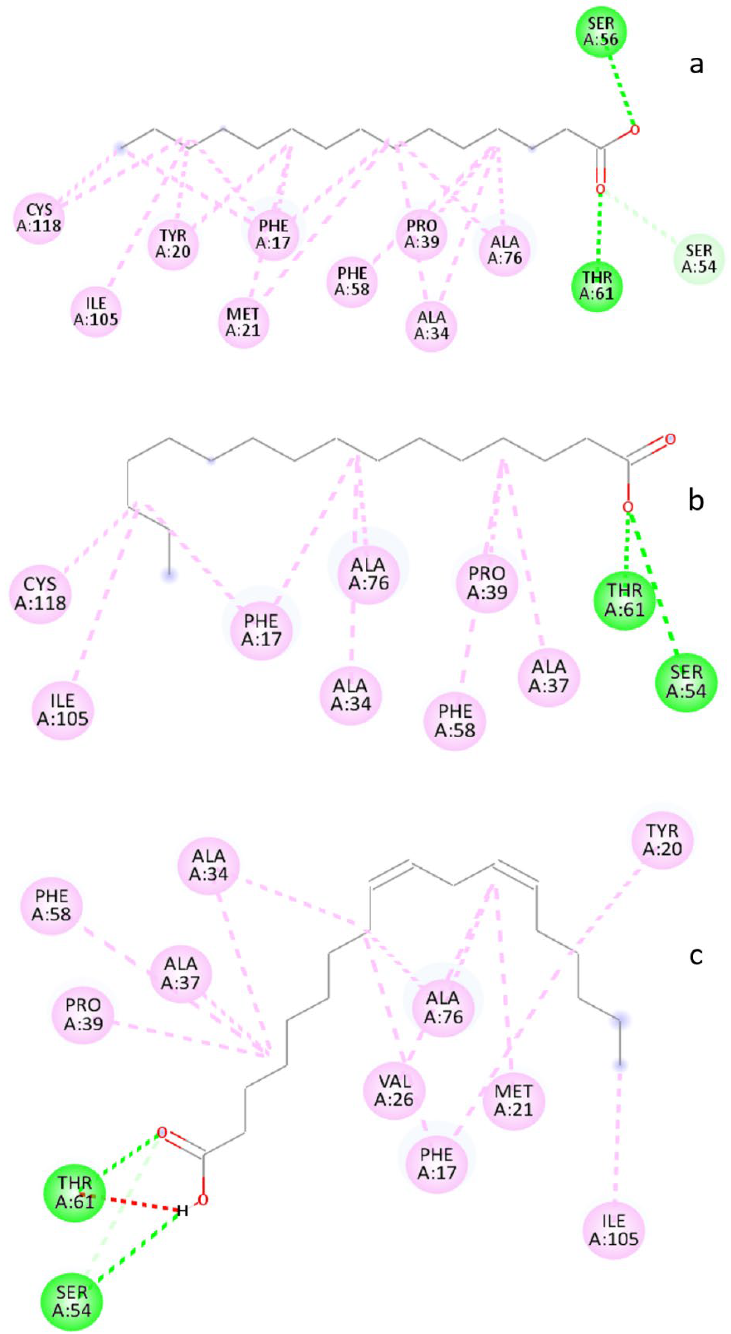 Life 13 00526 g008 Life 13 00526 g008