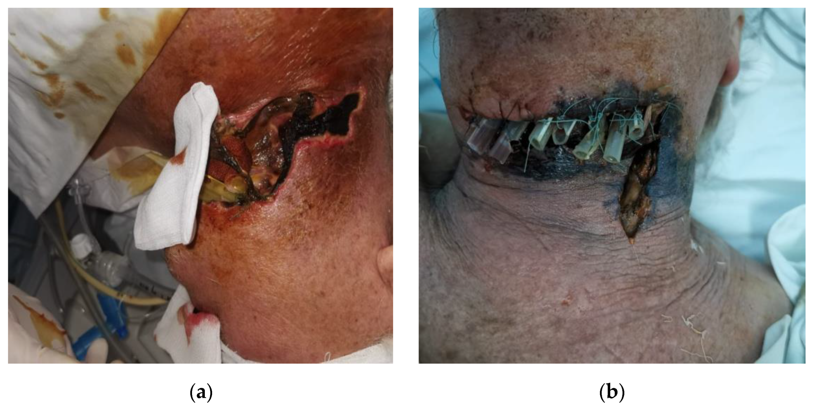 Life 13 00535 g001 Life 13 00535 g001