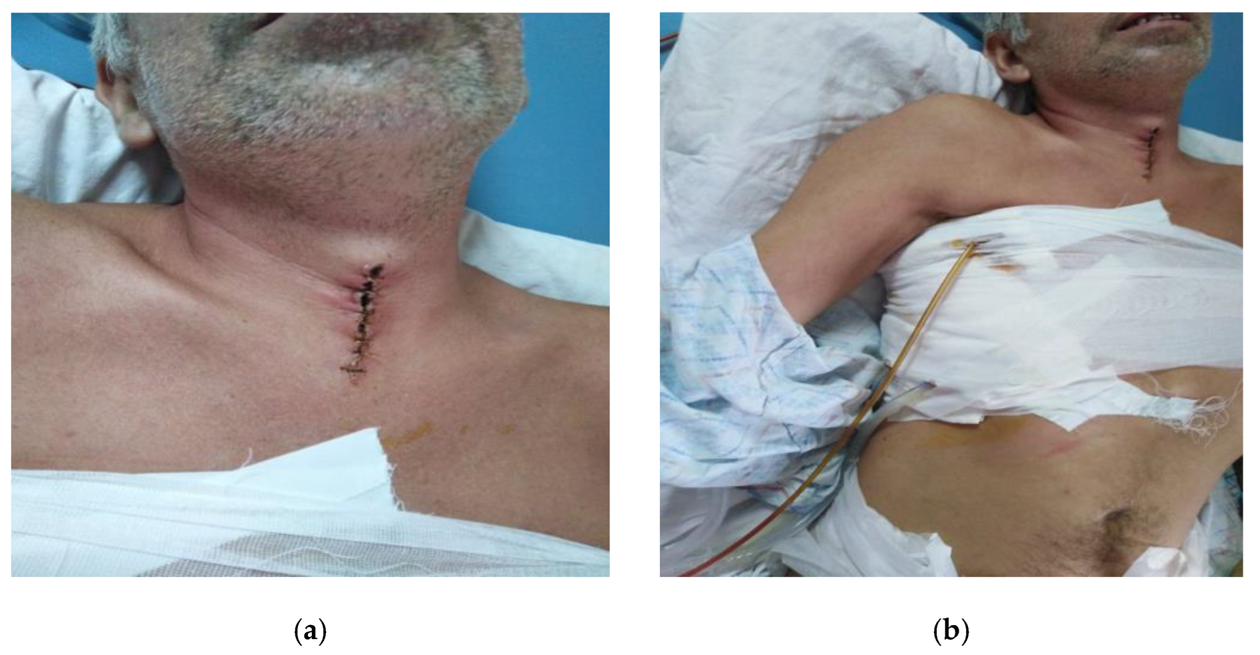 Life 13 00535 g002 Life 13 00535 g002