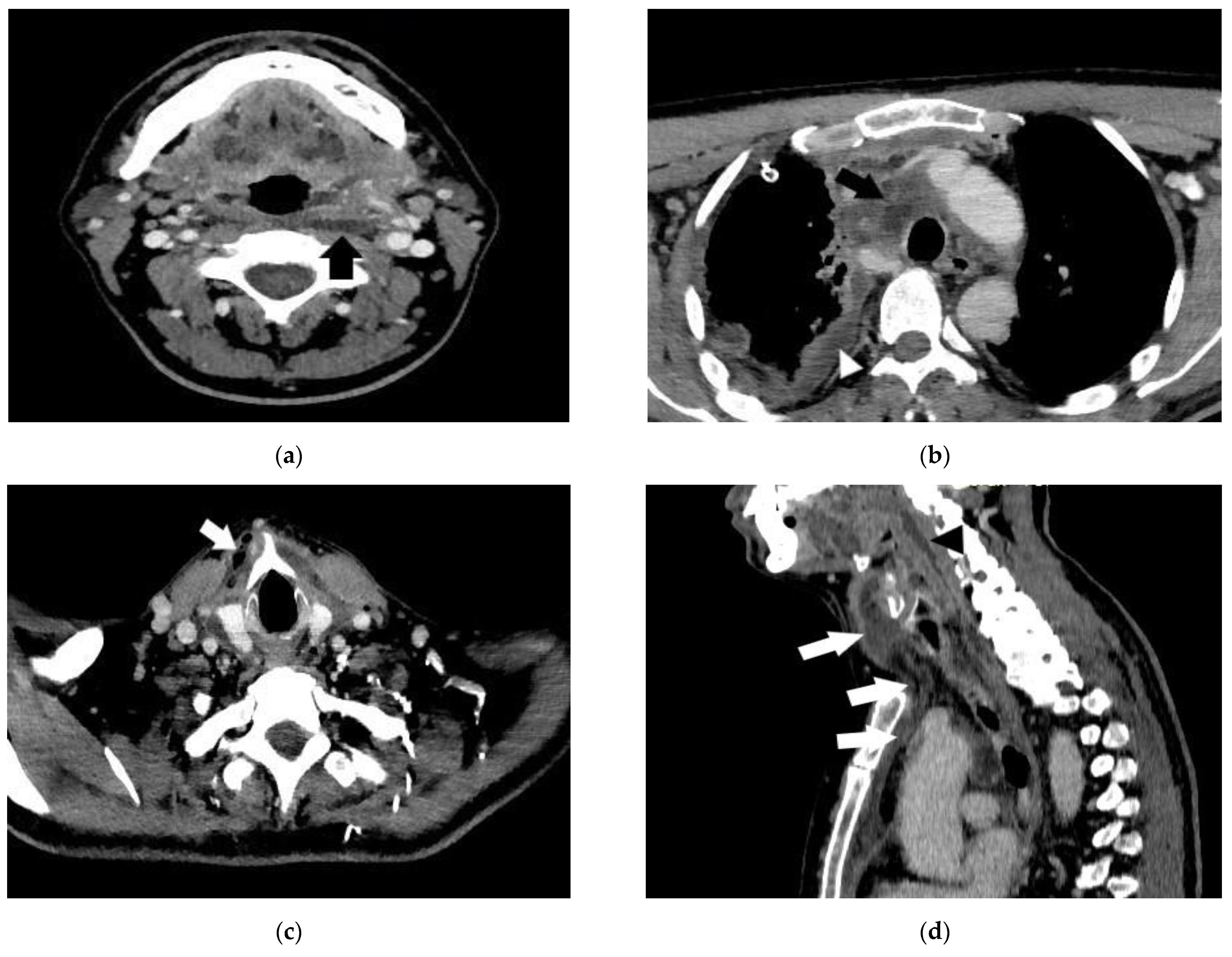 Life 13 00535 g003 Life 13 00535 g003