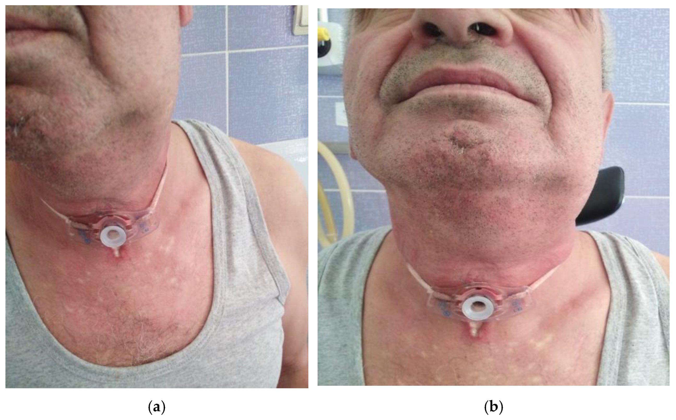 Life 13 00535 g004 Life 13 00535 g004