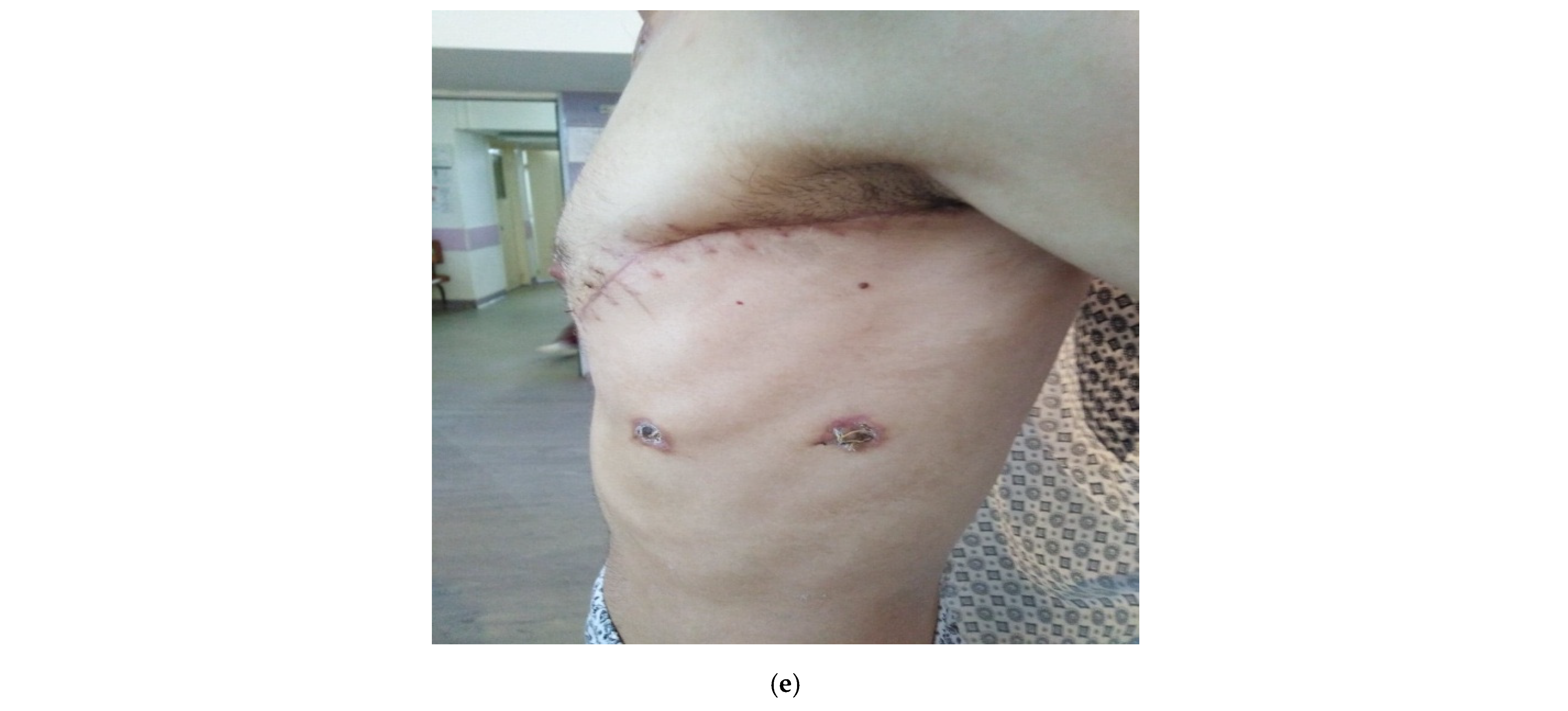 Life 13 00535 g006b Life 13 00535 g006b