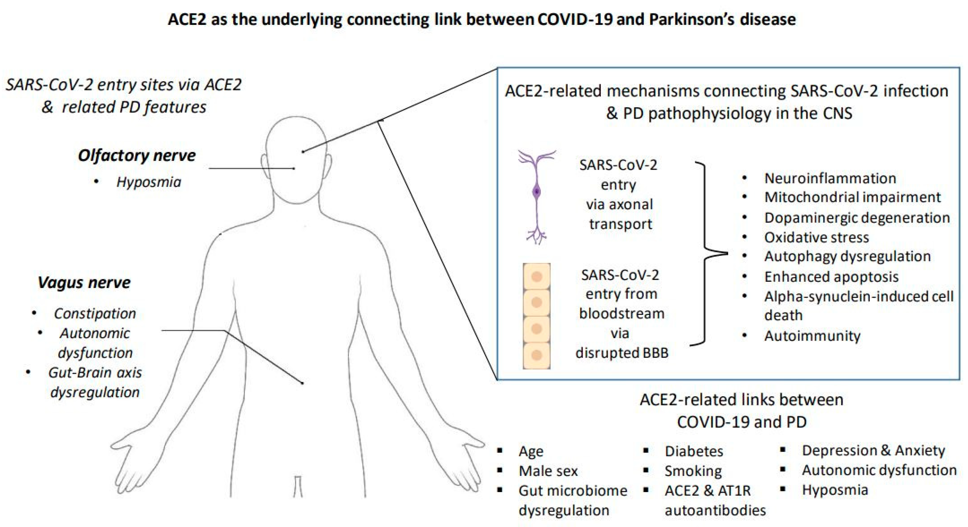 Life 13 00536 g002 Life 13 00536 g002