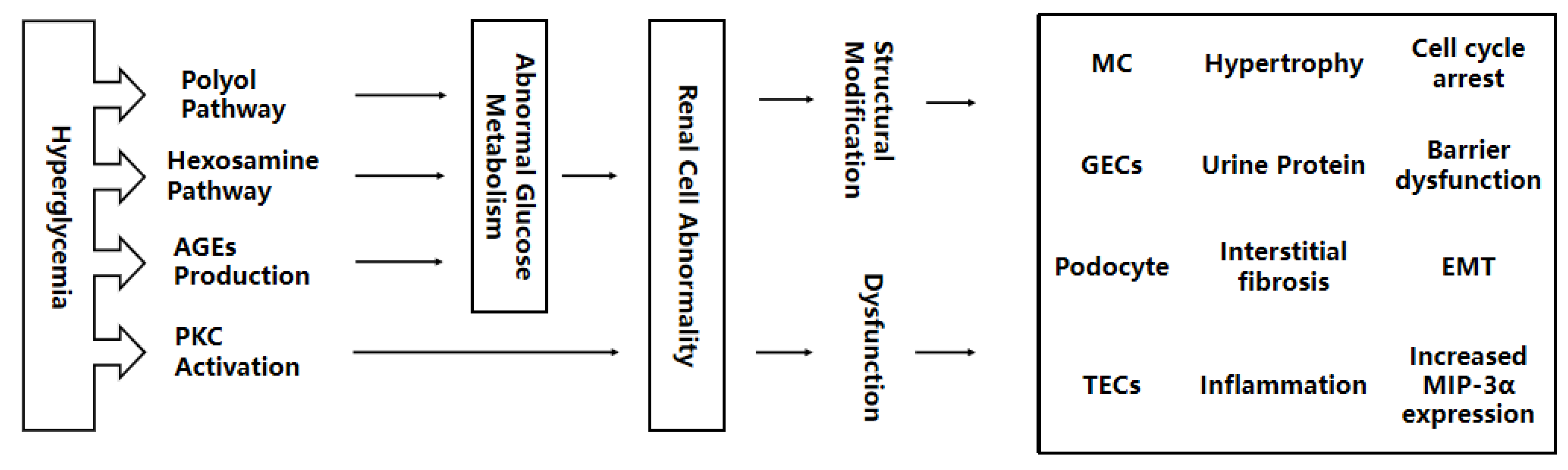 Life 13 00539 g001 Life 13 00539 g001