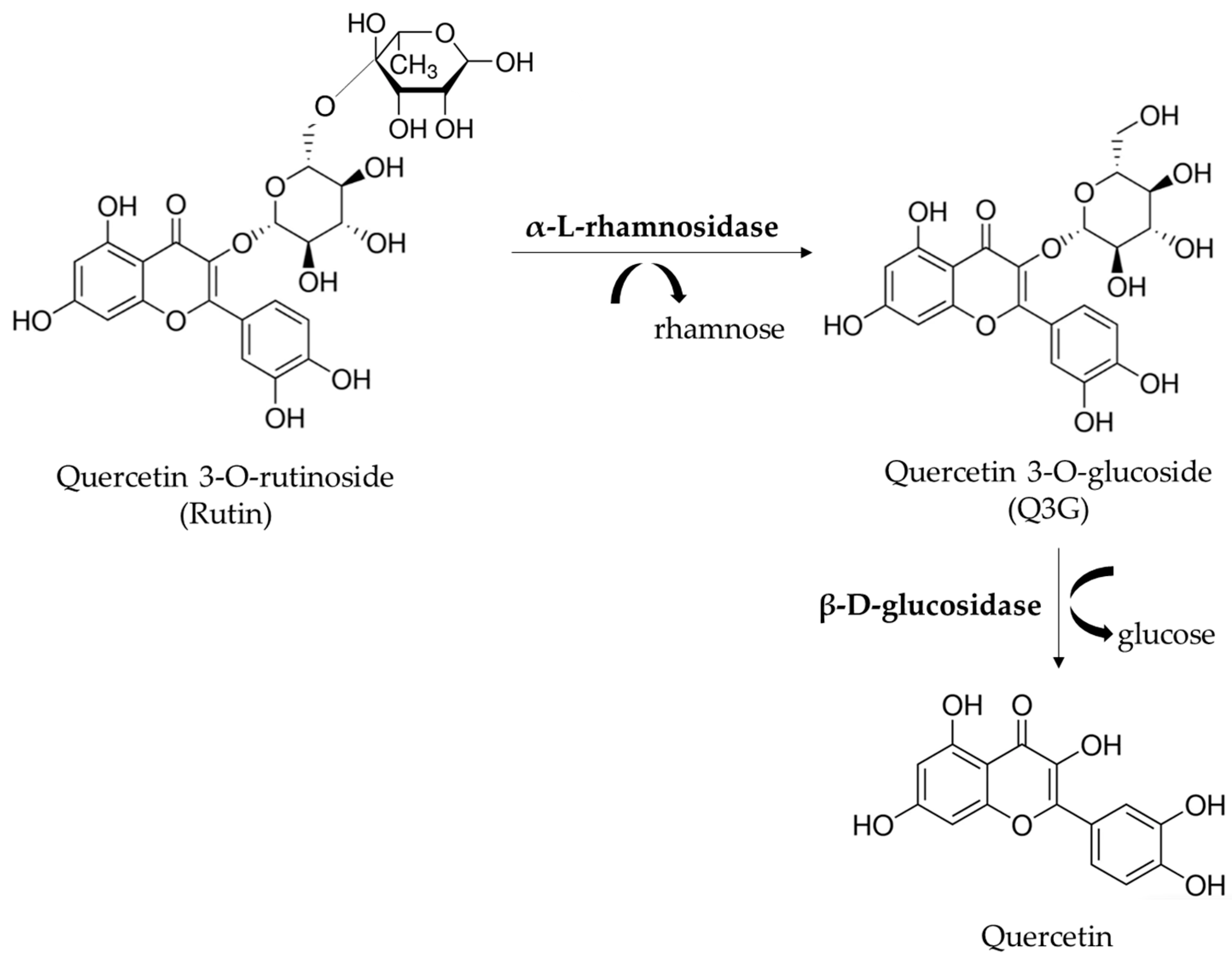 Life 13 00549 g001 Life 13 00549 g001