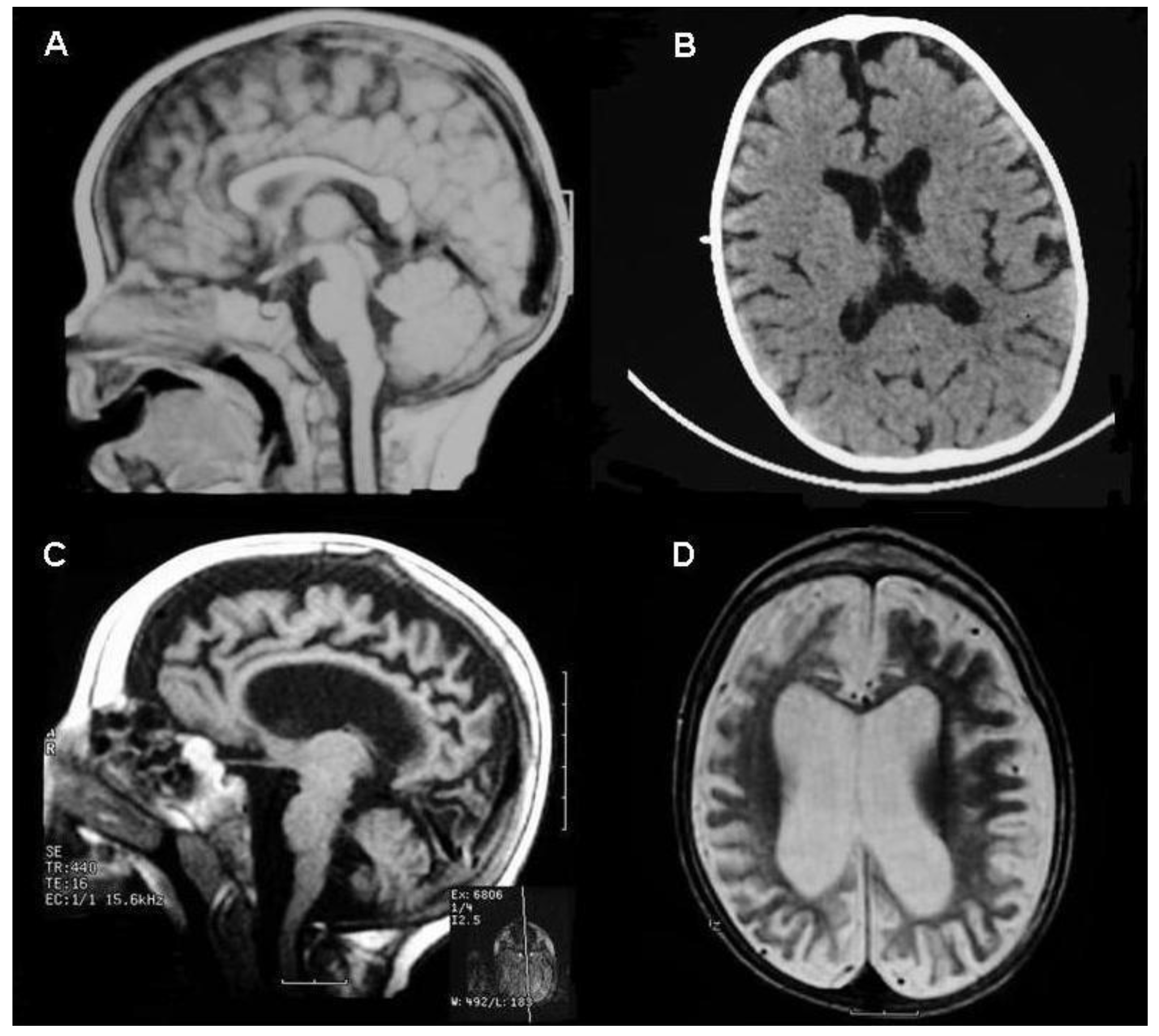 Life 13 00554 g001 Life 13 00554 g001