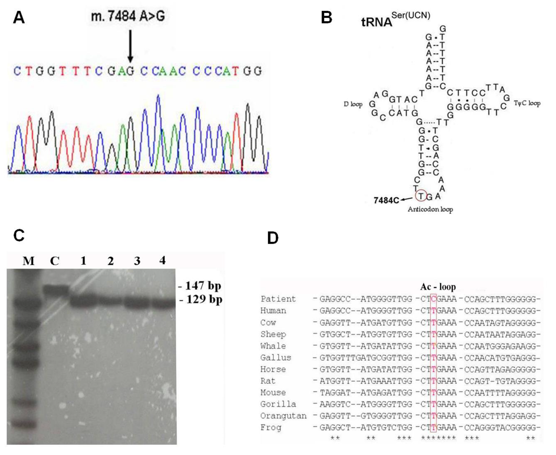 Life 13 00554 g003 Life 13 00554 g003