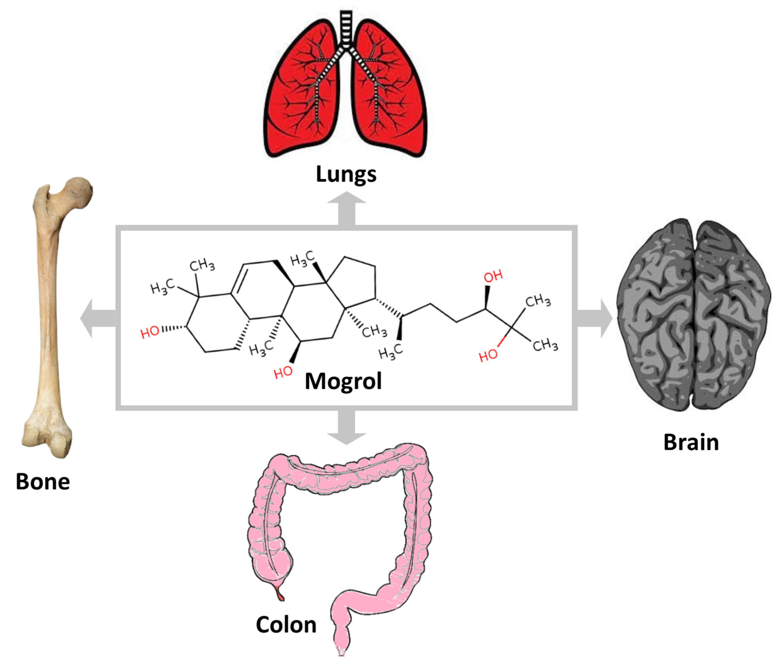 Life 13 00555 g002 Life 13 00555 g002