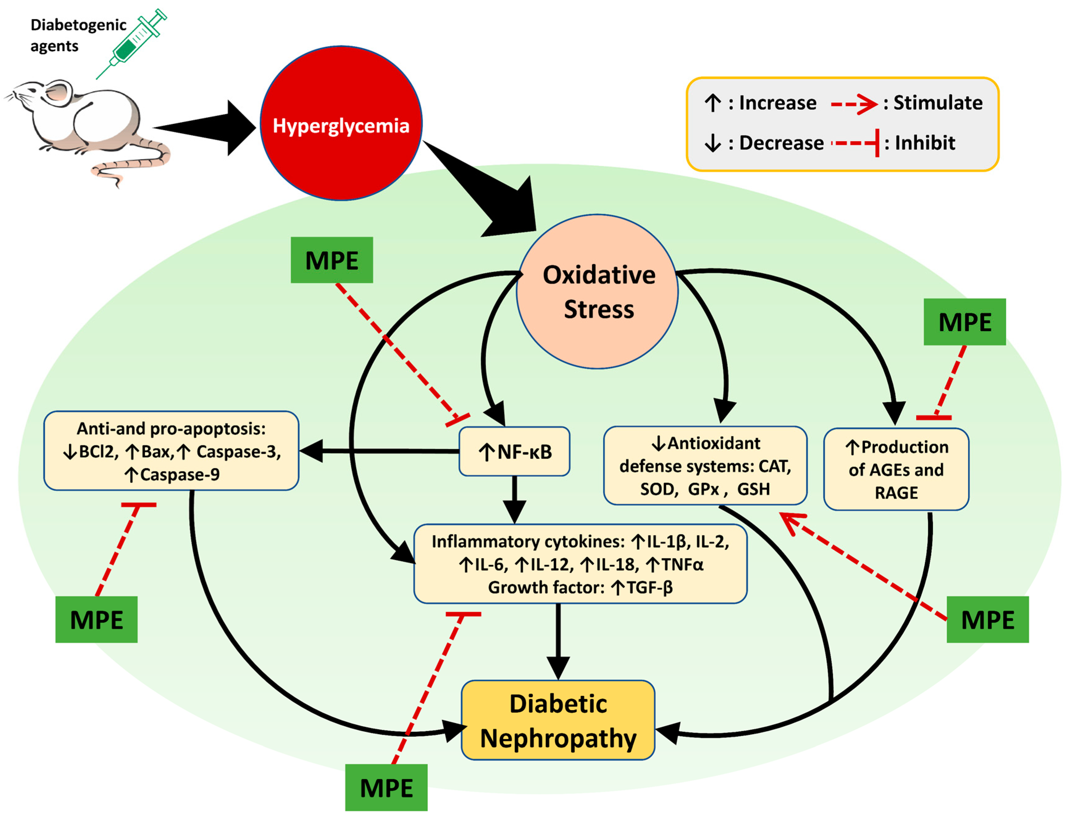 Life Free FullText A Review of Medicinal Plants with