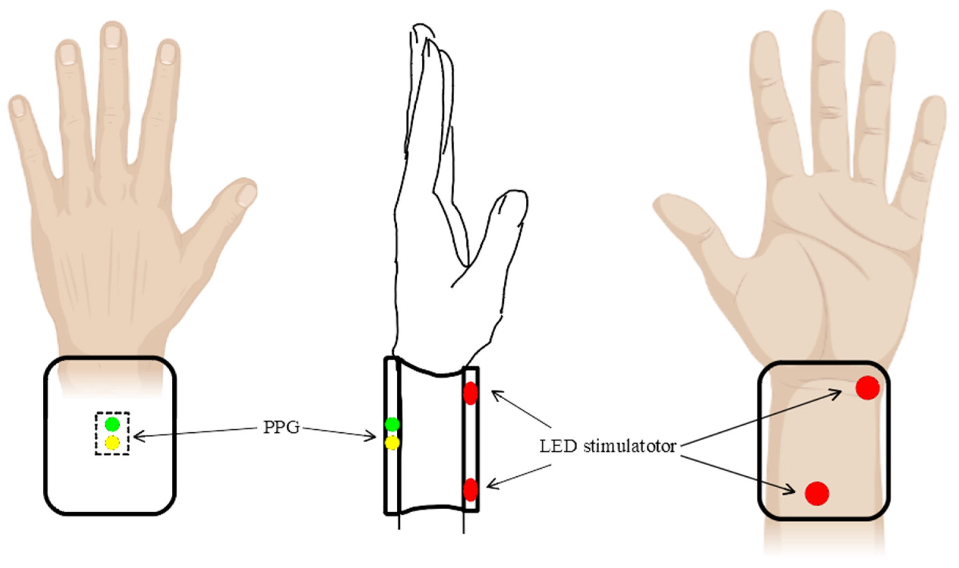 Life 13 00564 g007 Life 13 00564 g007