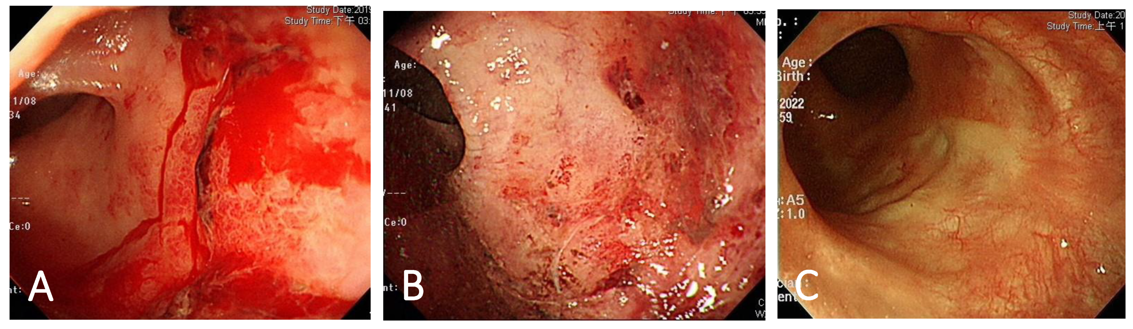 Life 13 00566 g002 Life 13 00566 g002