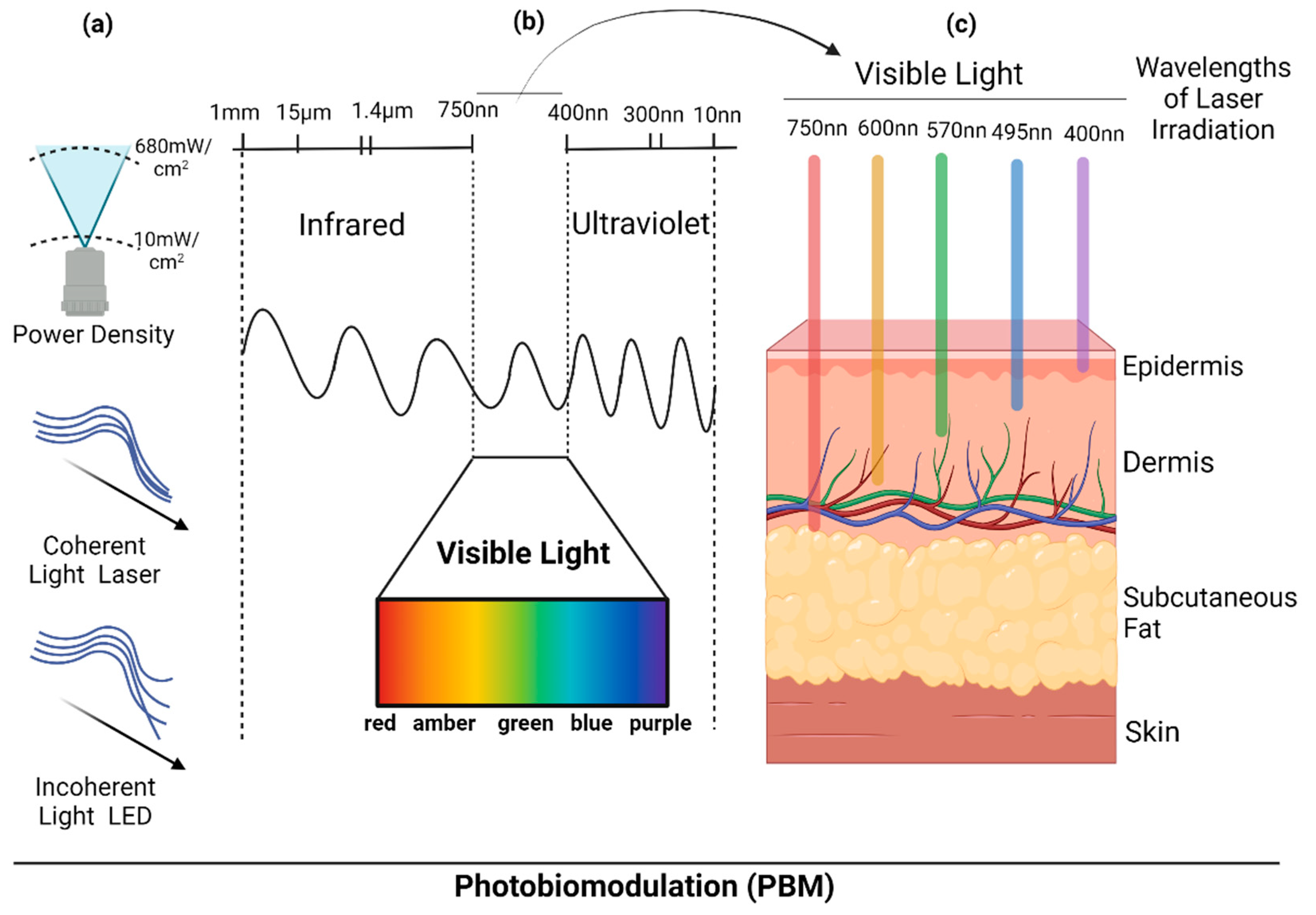 Photobiomodulation Treatment