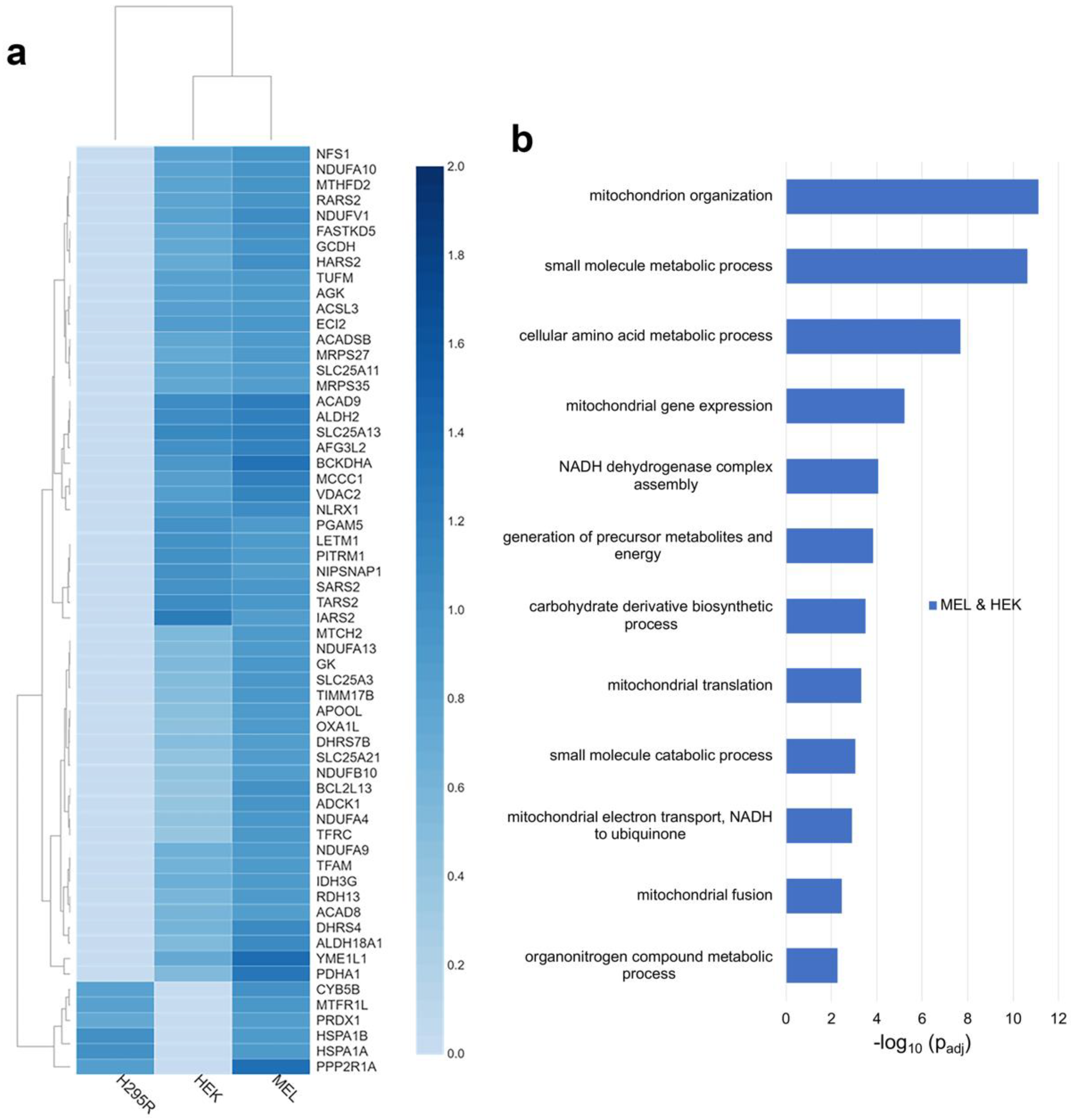 Life 13 00577 g002 Life 13 00577 g002